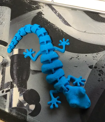Curled Articulated Lizard by Stetofire | Download free STL model ...