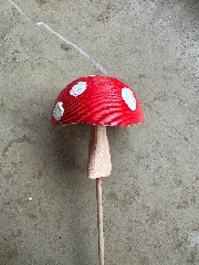 Mushroom