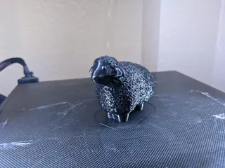 Sheep
