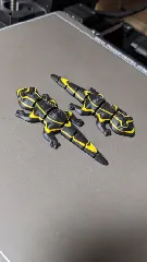 Flexi Salamander