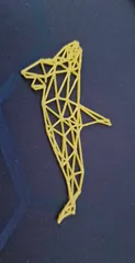 Geometric Orca
