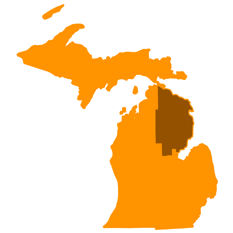 Northeast Lower Peninsula Michigan – 3D printer users group | Groups ...