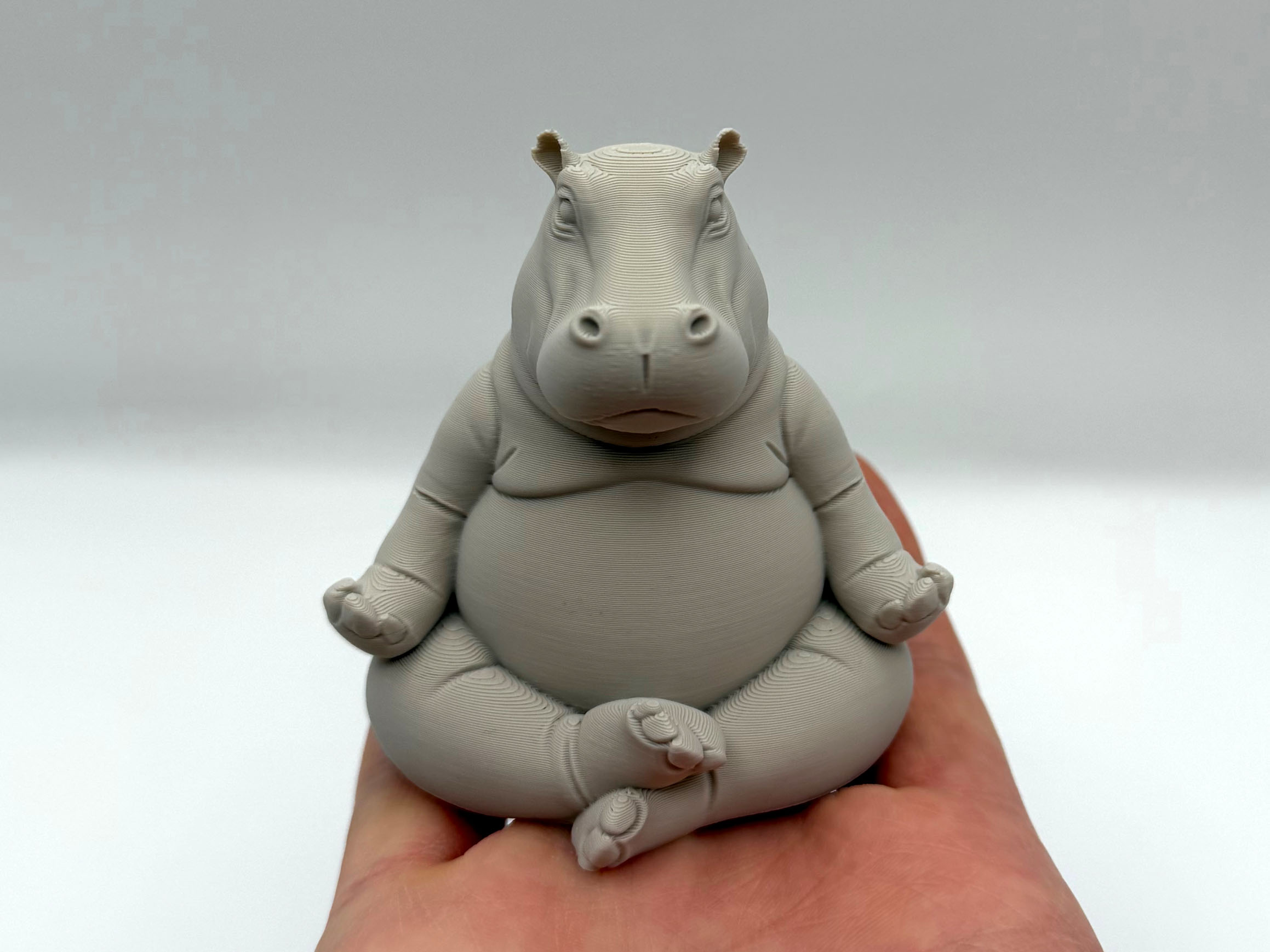 Meditating Hippo — miniatura 2