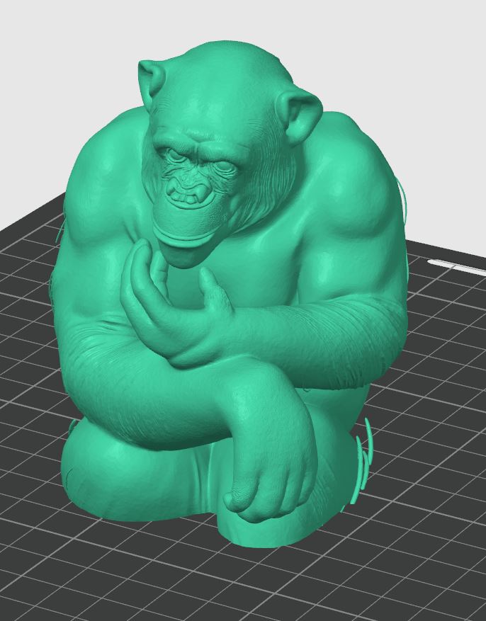 realistic-chimpanzee