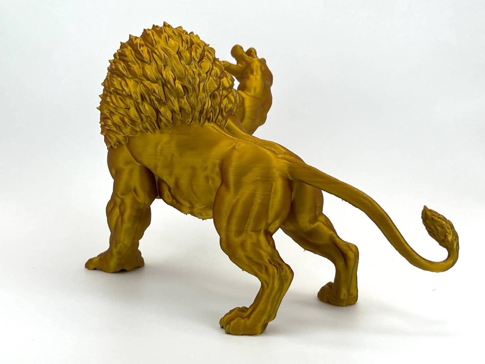 Gladiator & Lion — miniatura 6