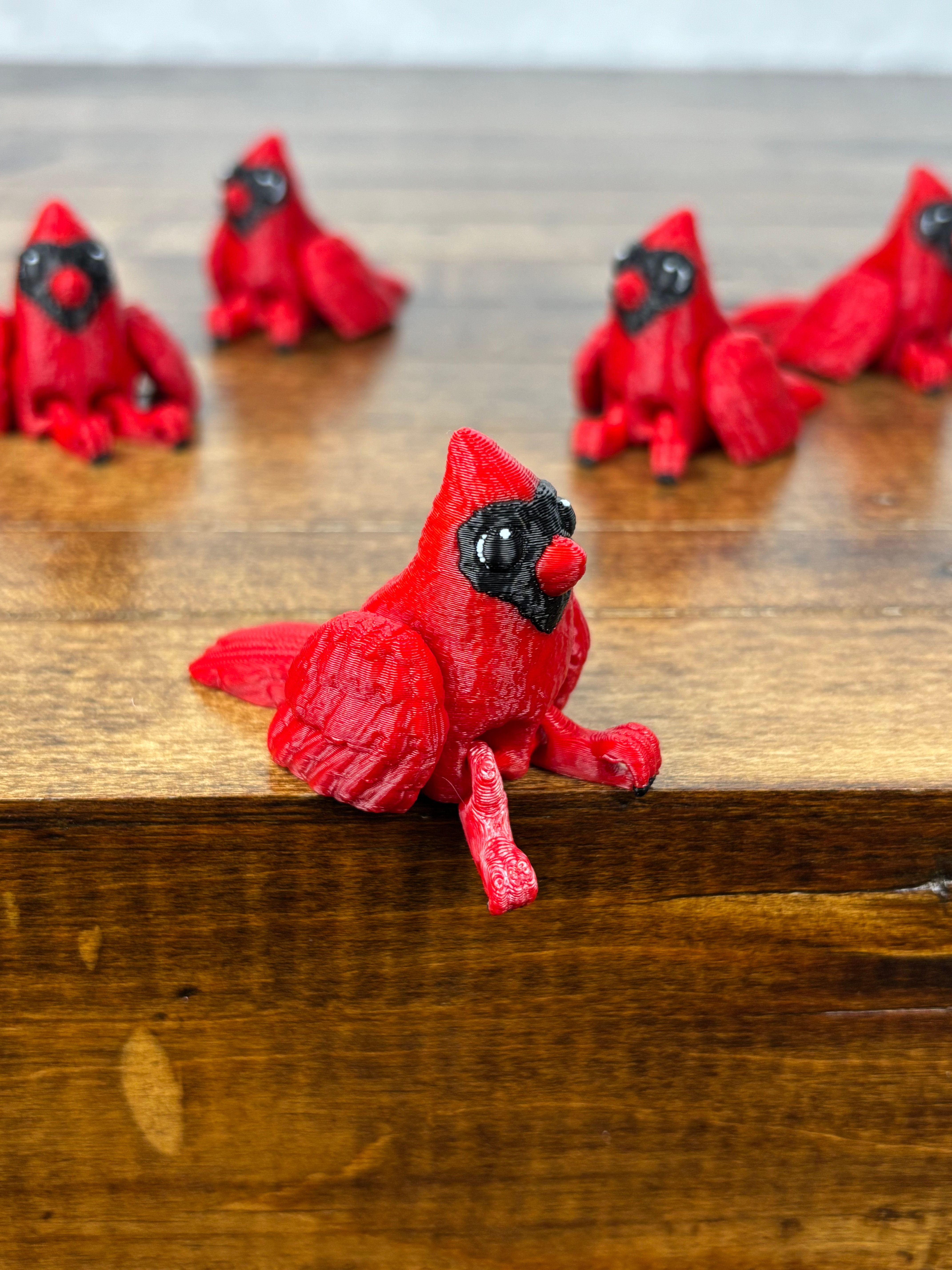 Cardinal Fidget