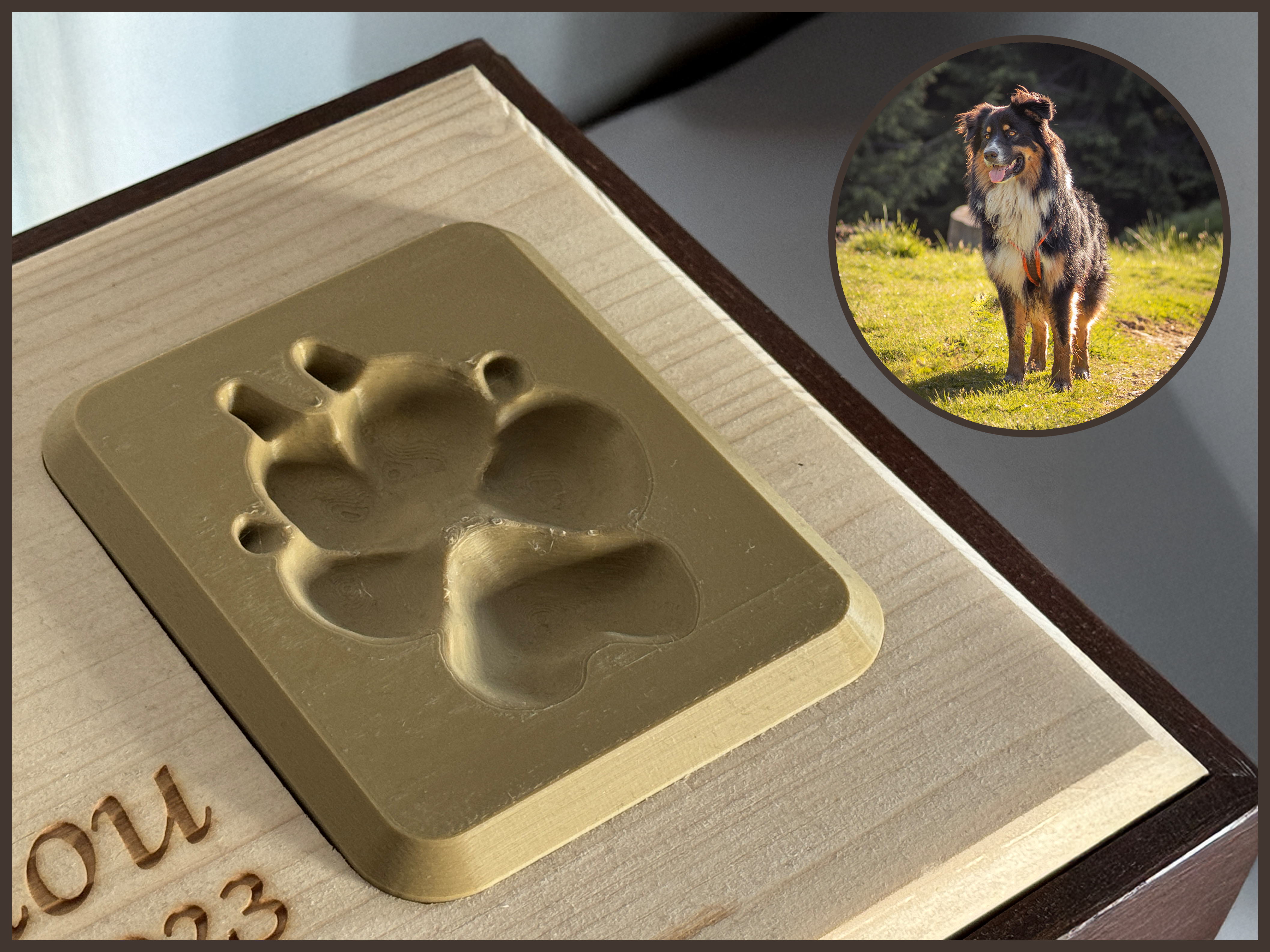 Real Dog Paw Imprint