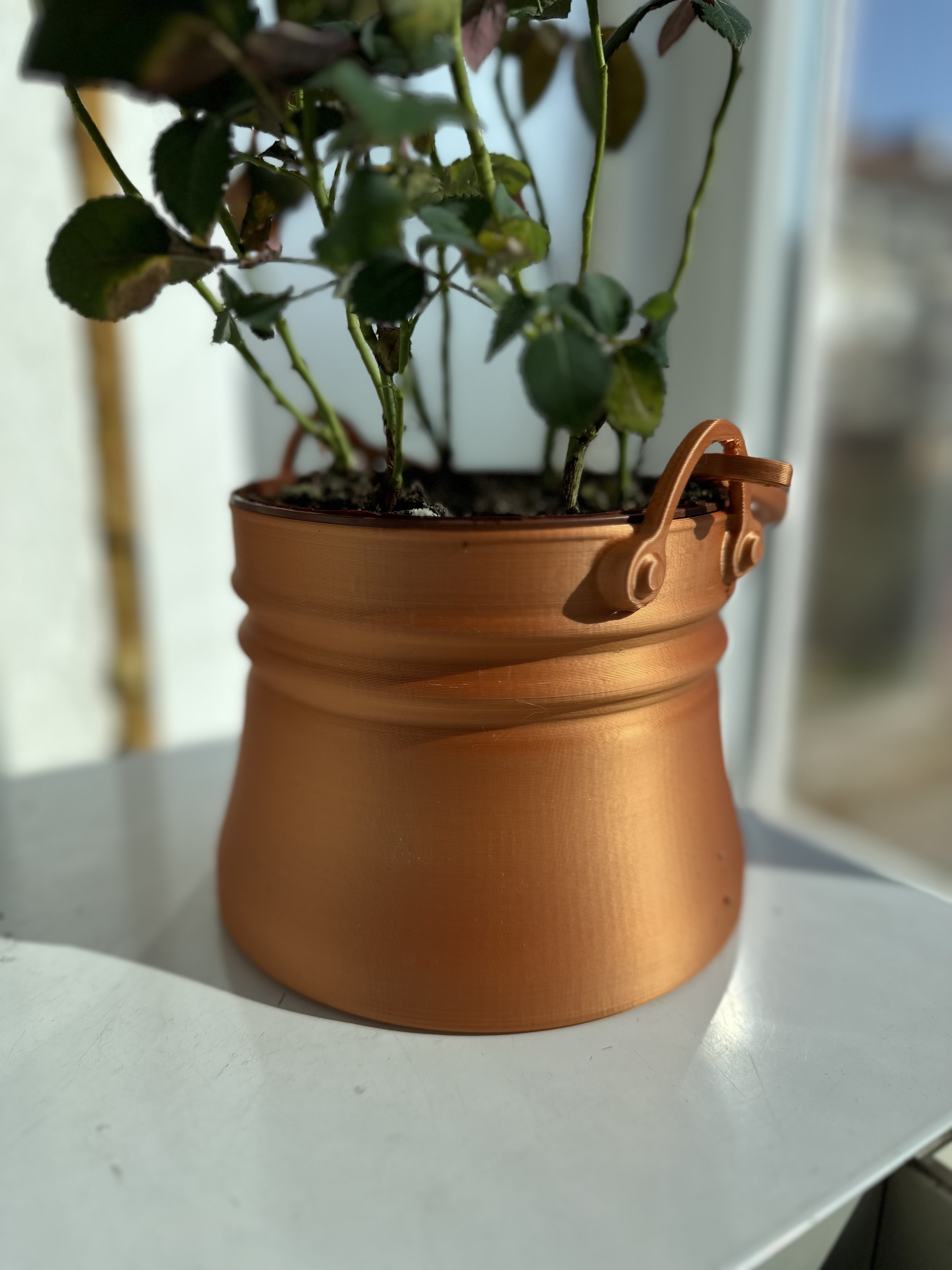 Cauldron plants pot — thumbnail 3