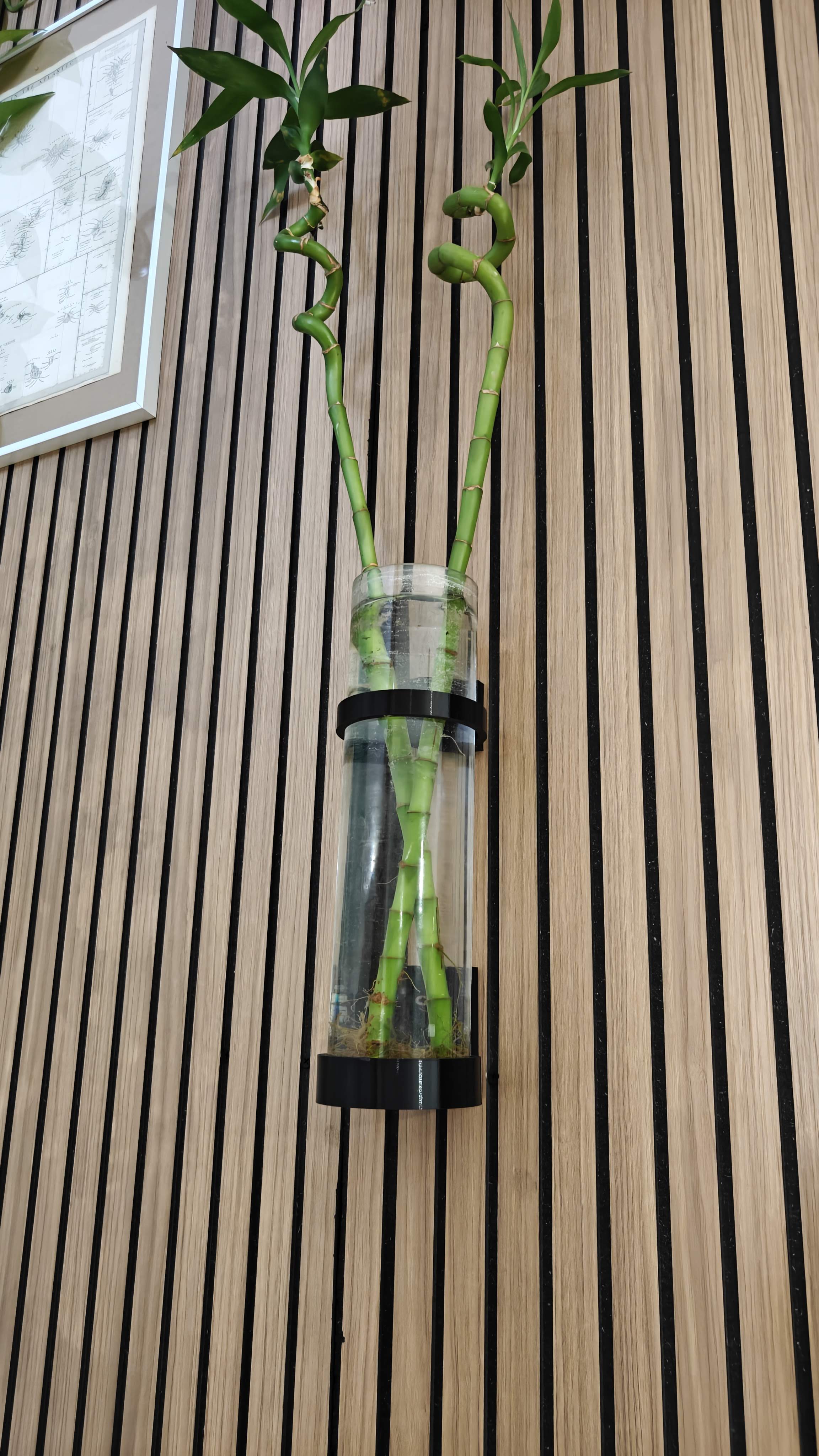 Wall-mounted cylindrical vase holder (80 mm)