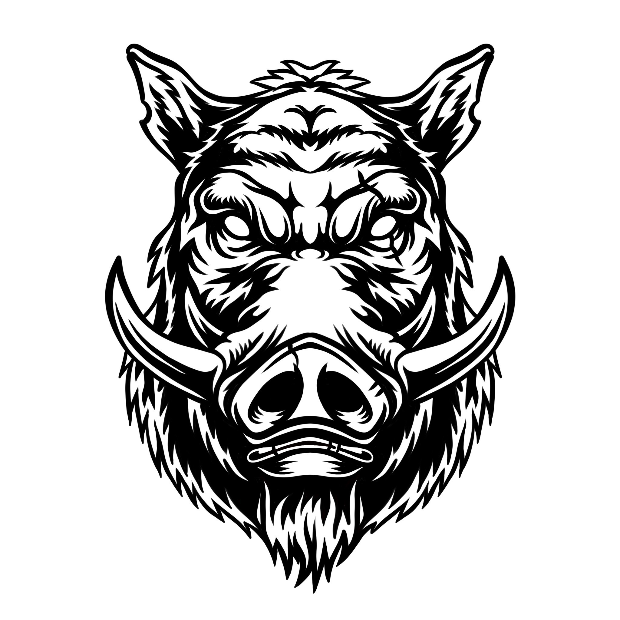 Boar