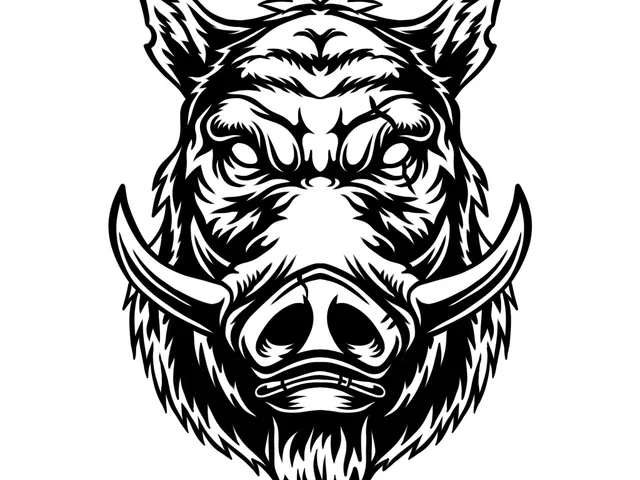 Boar