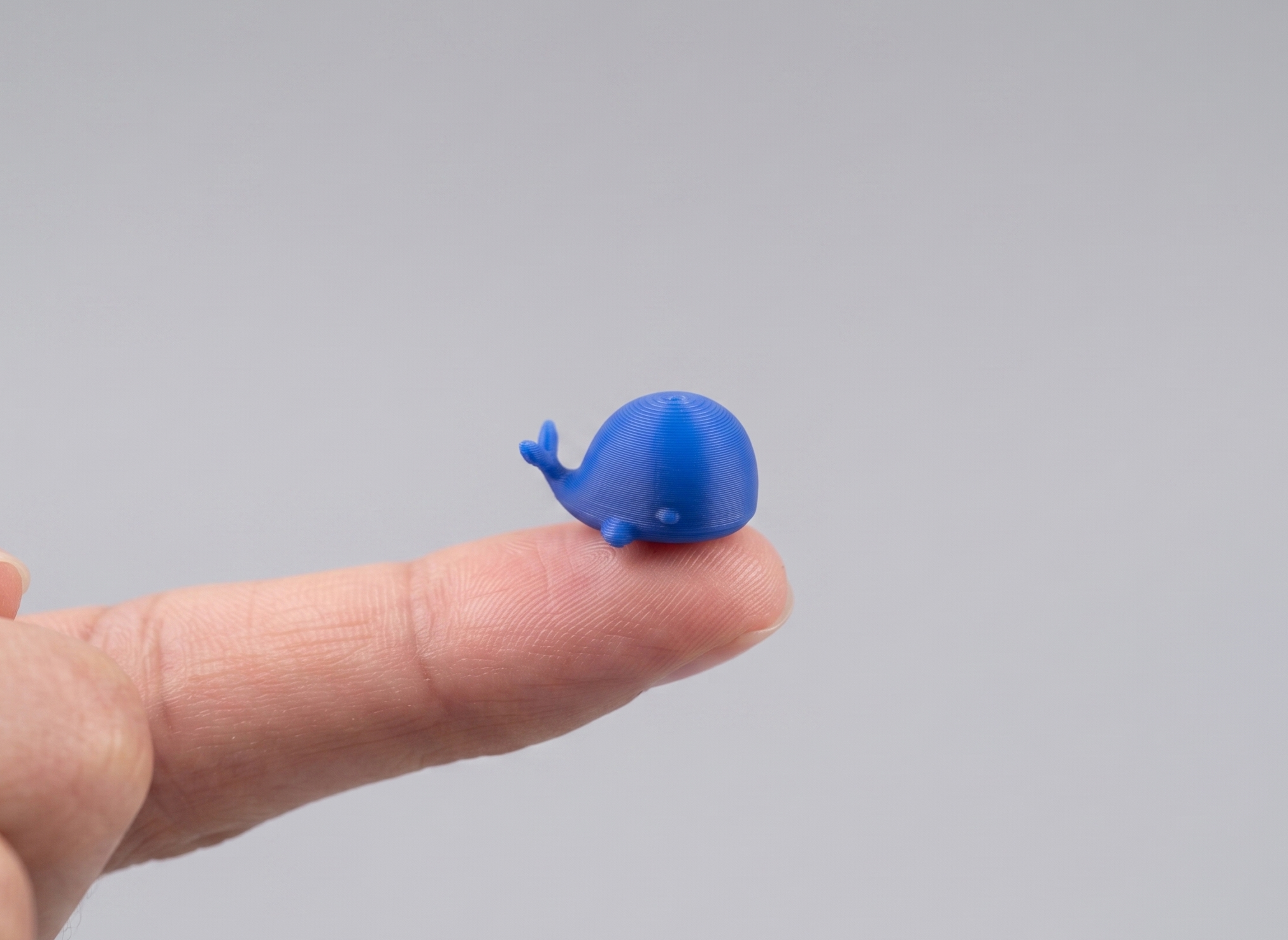 Mini Whale Buddy