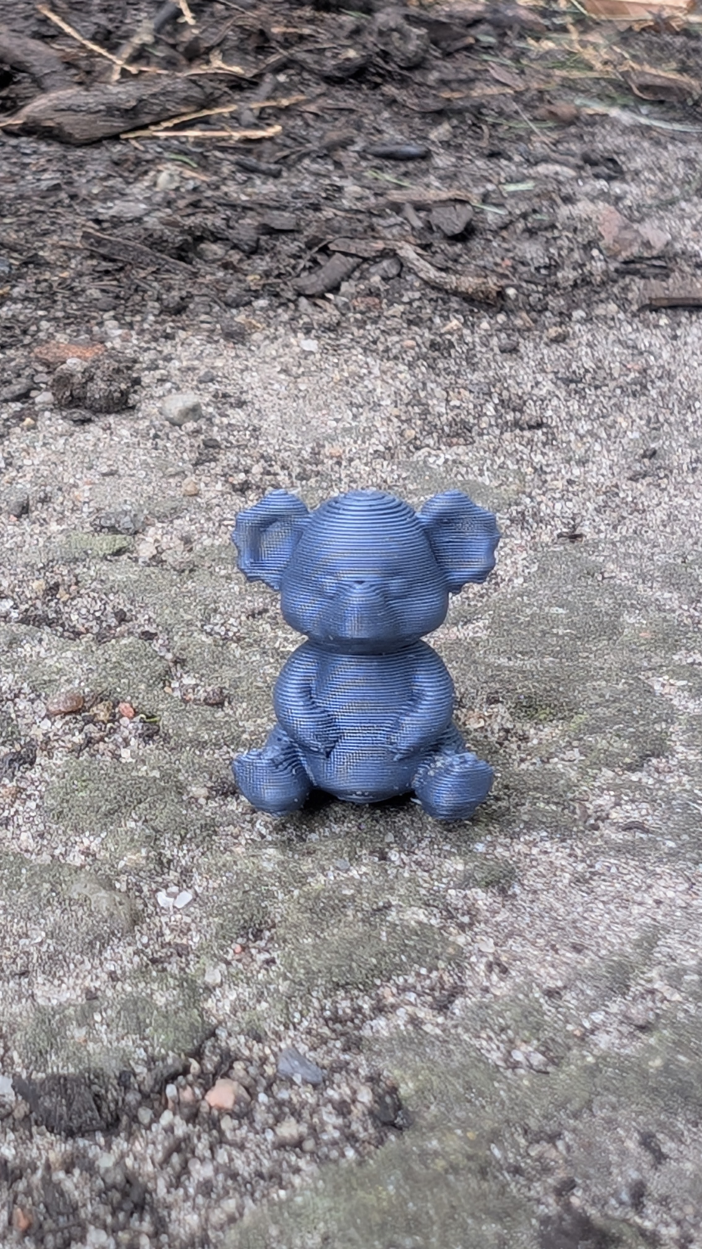 Cute Koala — miniatura 2