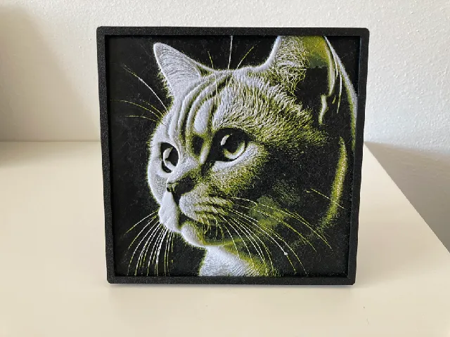 Cat's head picture HueForge
