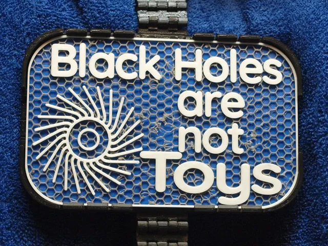 Black Holes are Not Toys sign