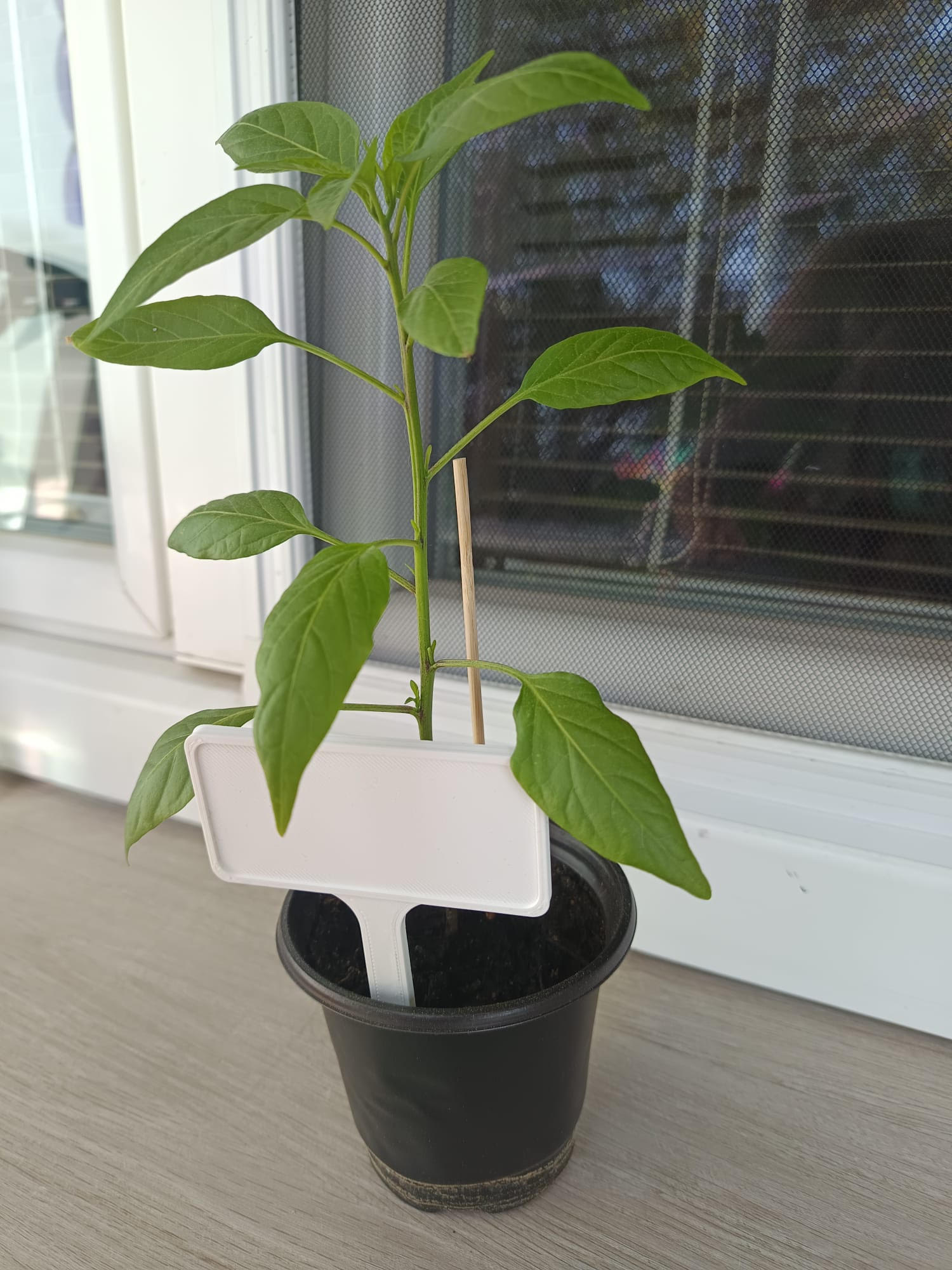 Plant sign