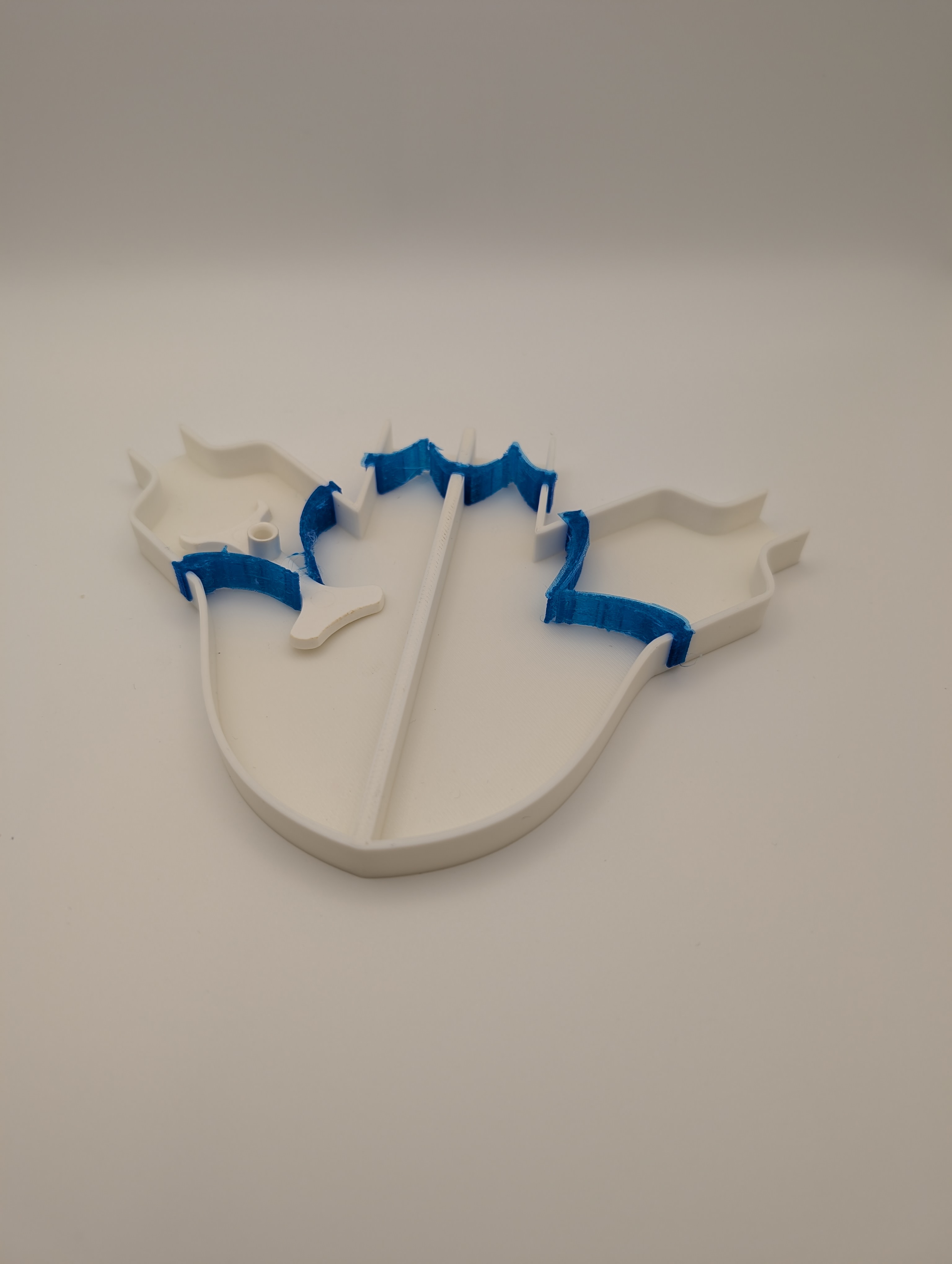 Heart Valve Model