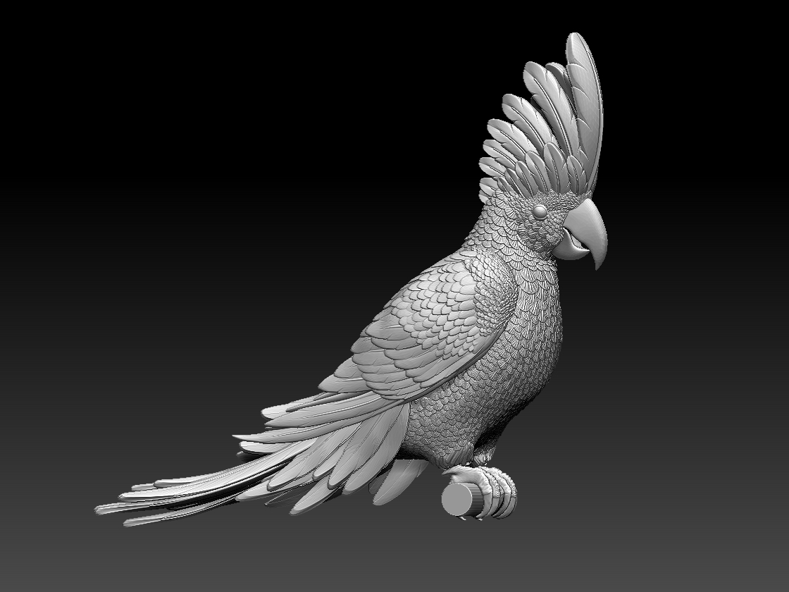 parrot