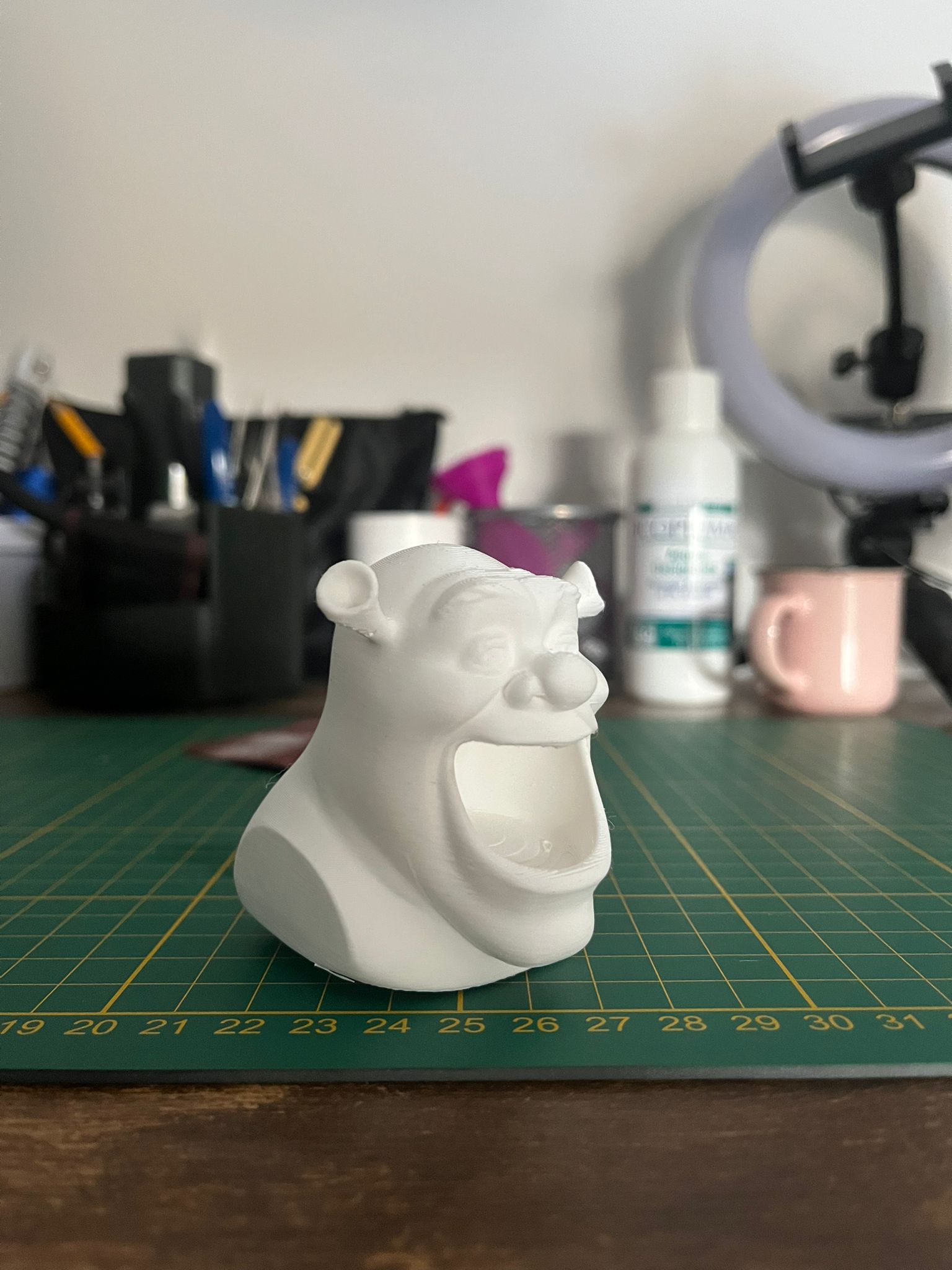 Shrek organizer