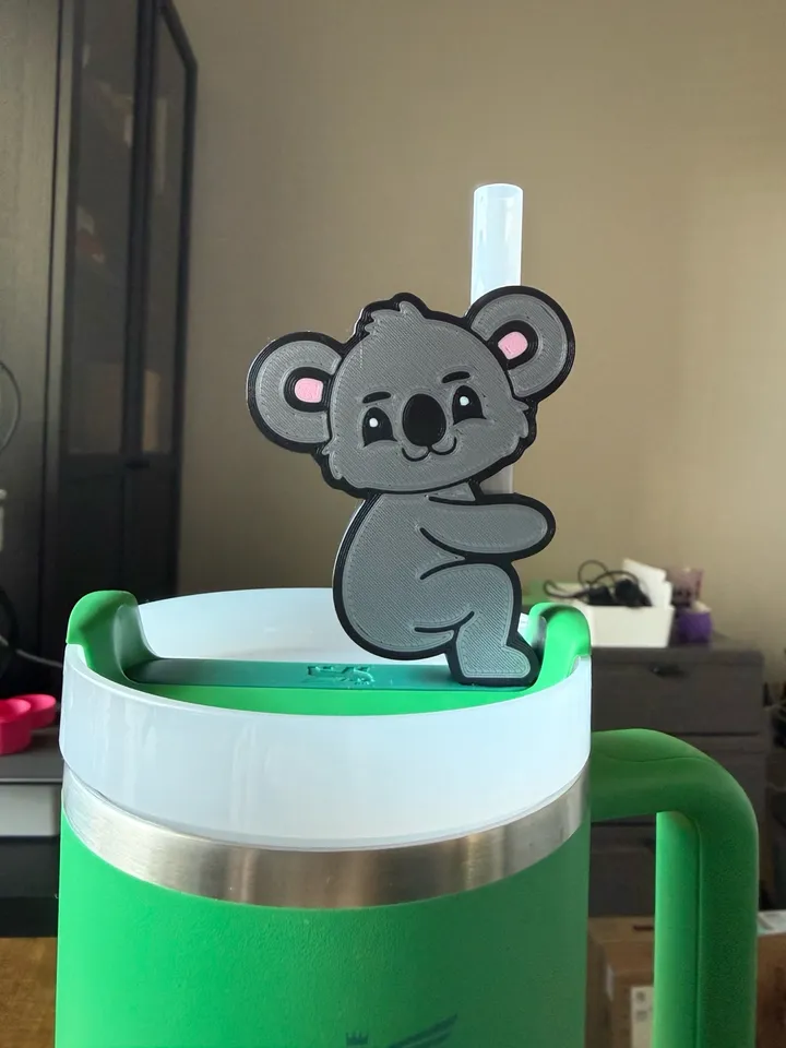 Slapende Koala Schattige Dieren Australische Fauna Eucalyptu