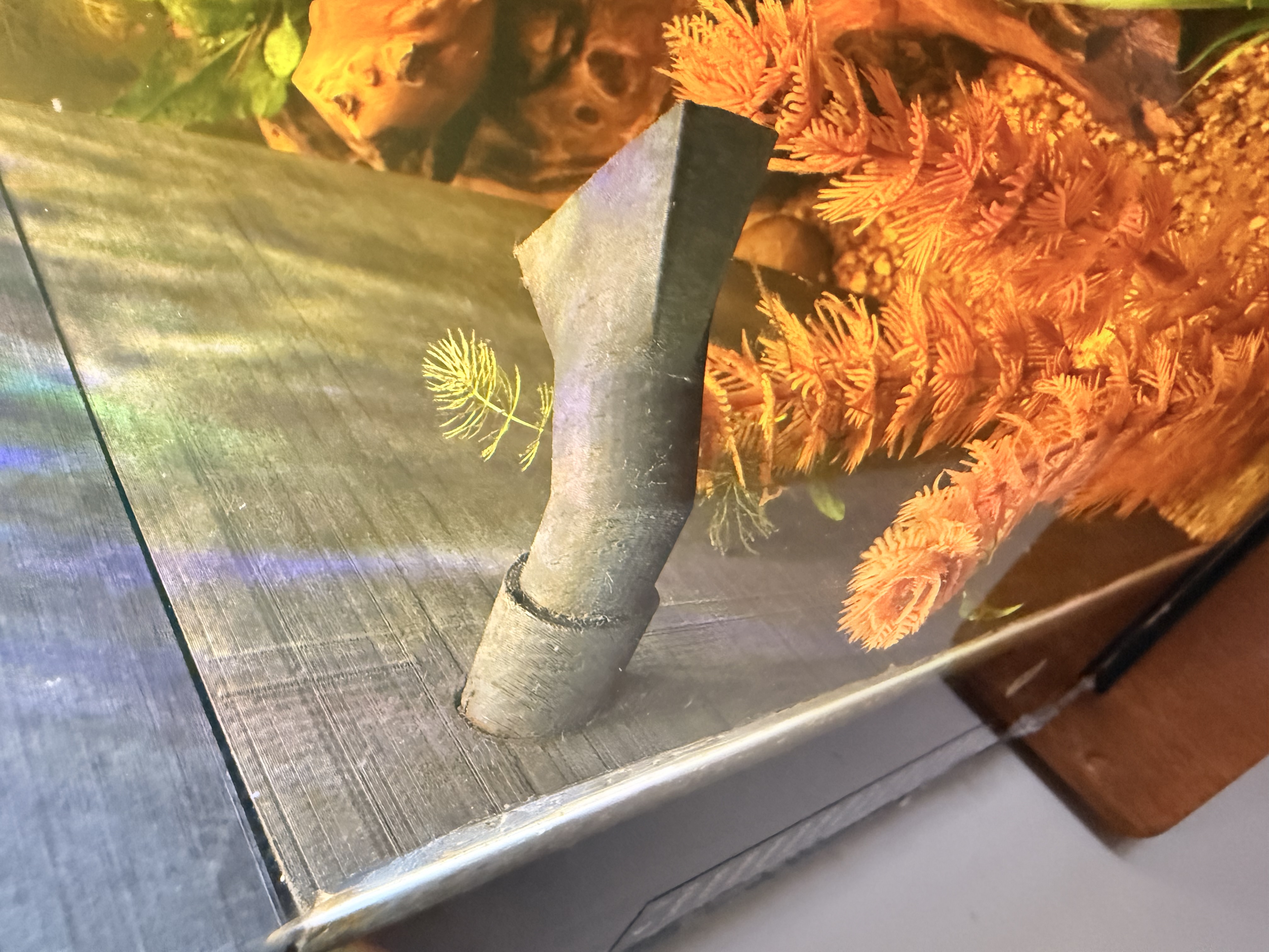 DIY Fish Tank — miniatura 3