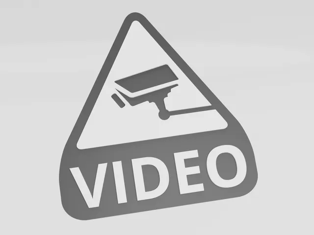 Video Surveillance Sign (2 Sizes) (Remix)