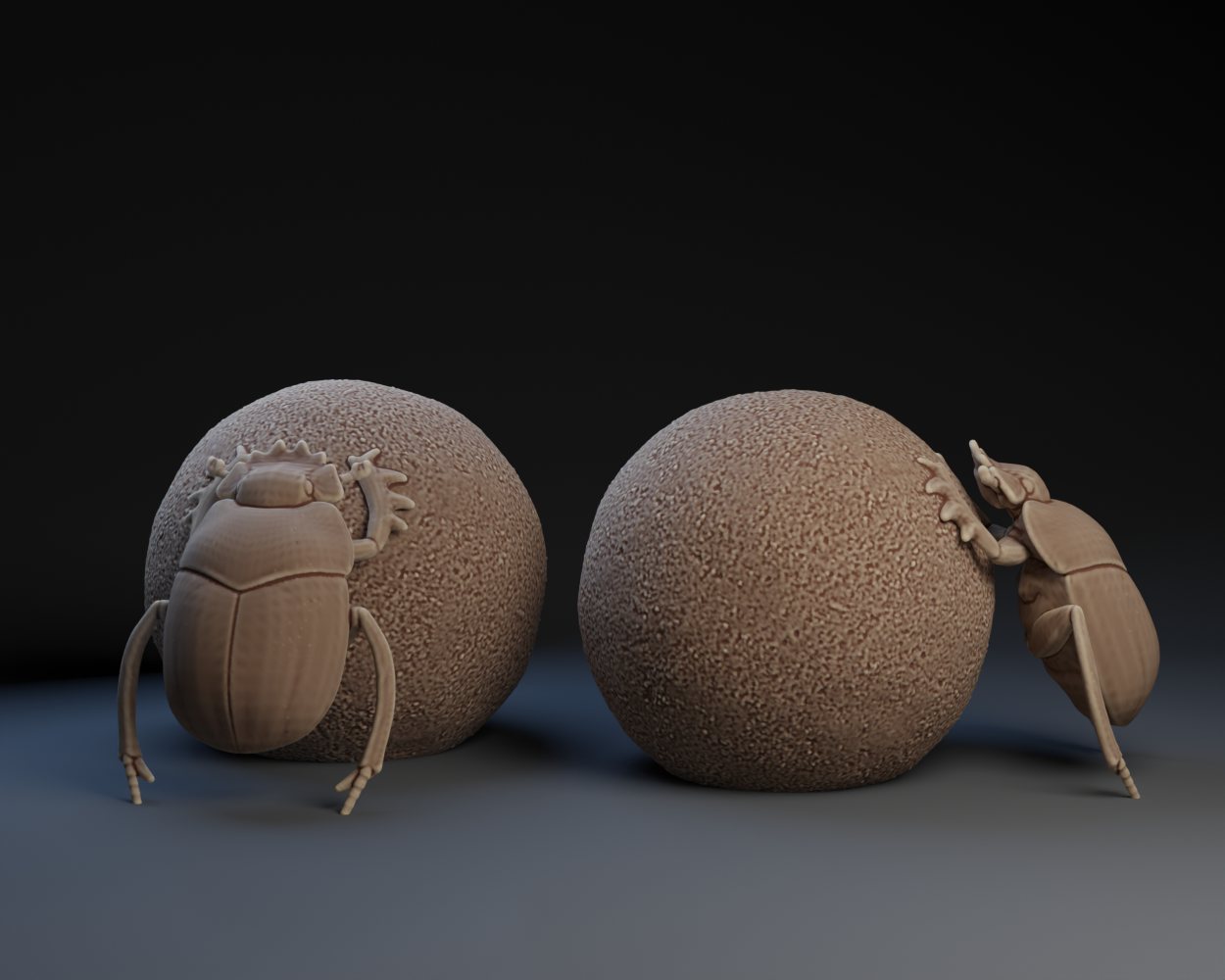 Dung Beetle
