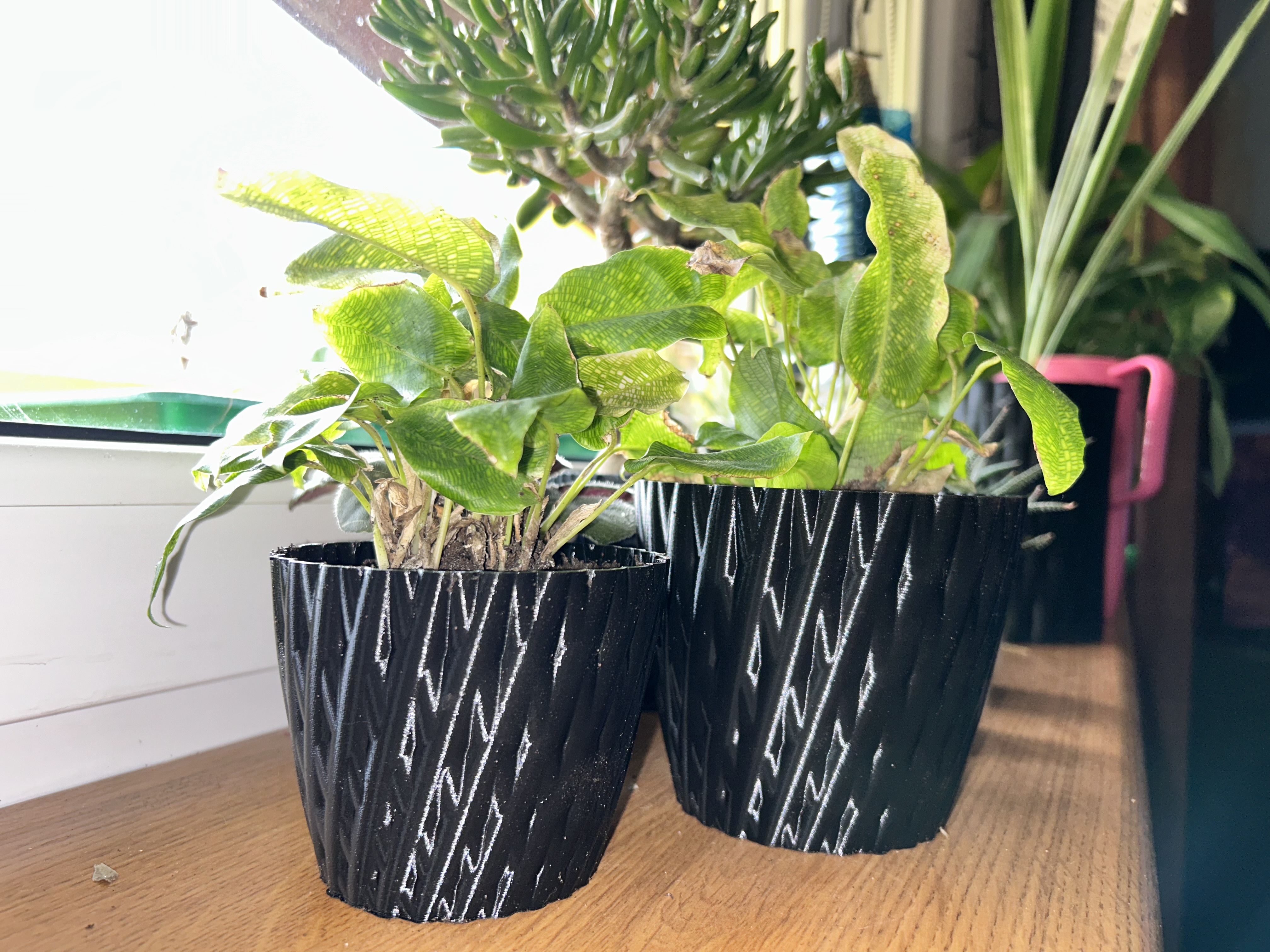 Bambu flowerpot