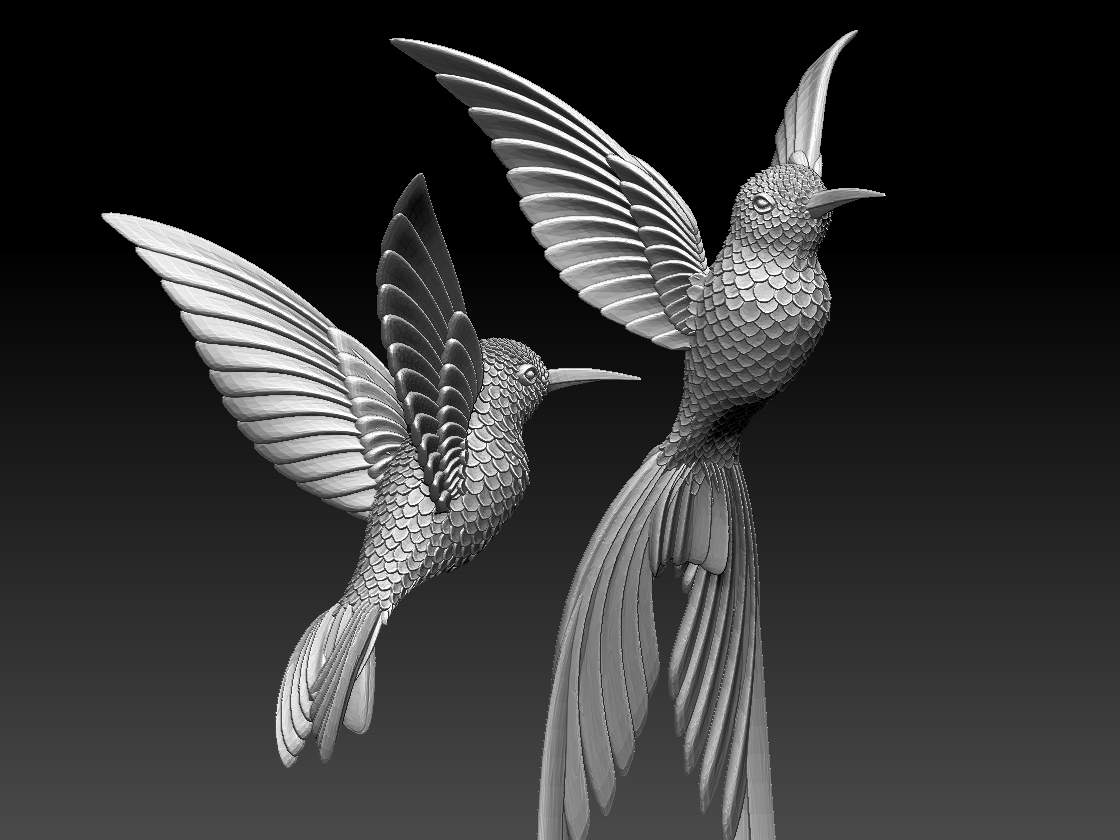 hummingbird