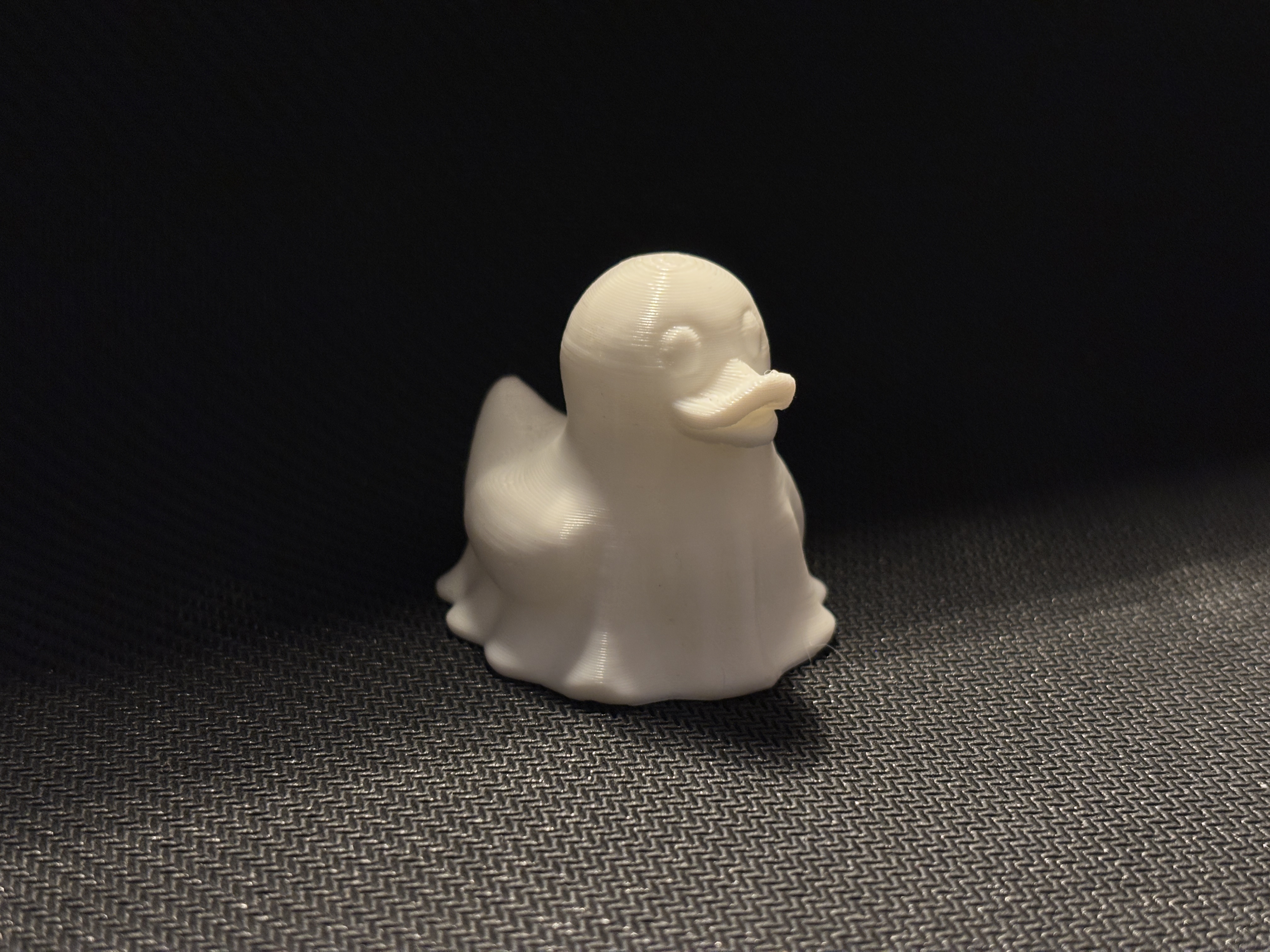 Miniatura 2 do modelo 3D Ghost the Duck