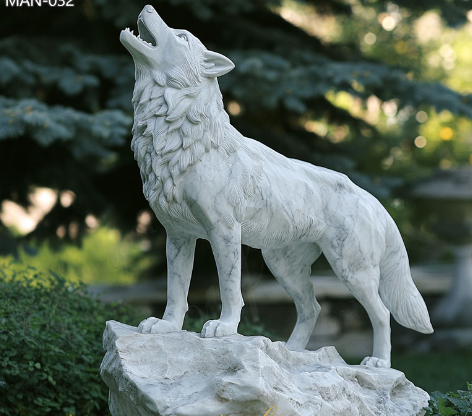 gray wolf
