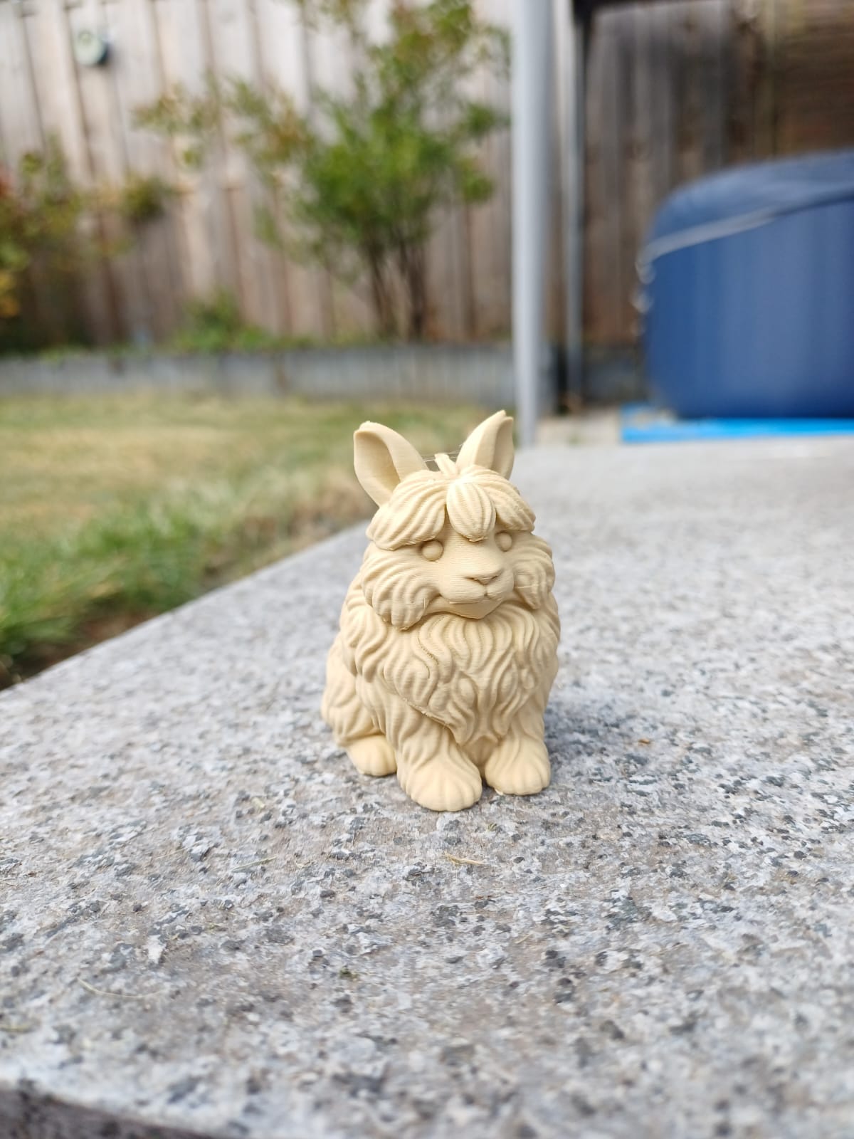 Fluffy Angora Bunny — Pocket Cloud with Ears
