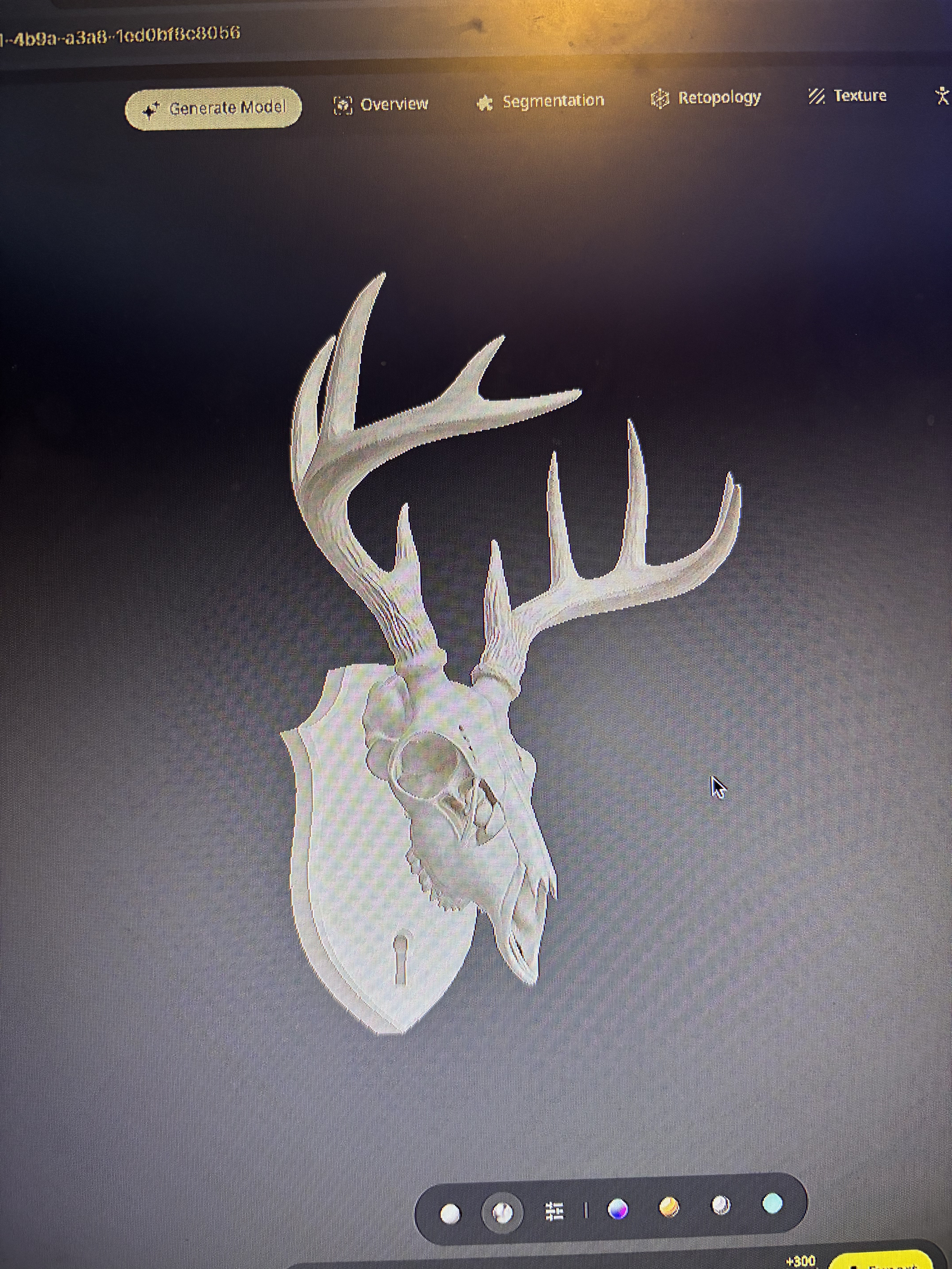 European Whitetail Deer Buck Mount