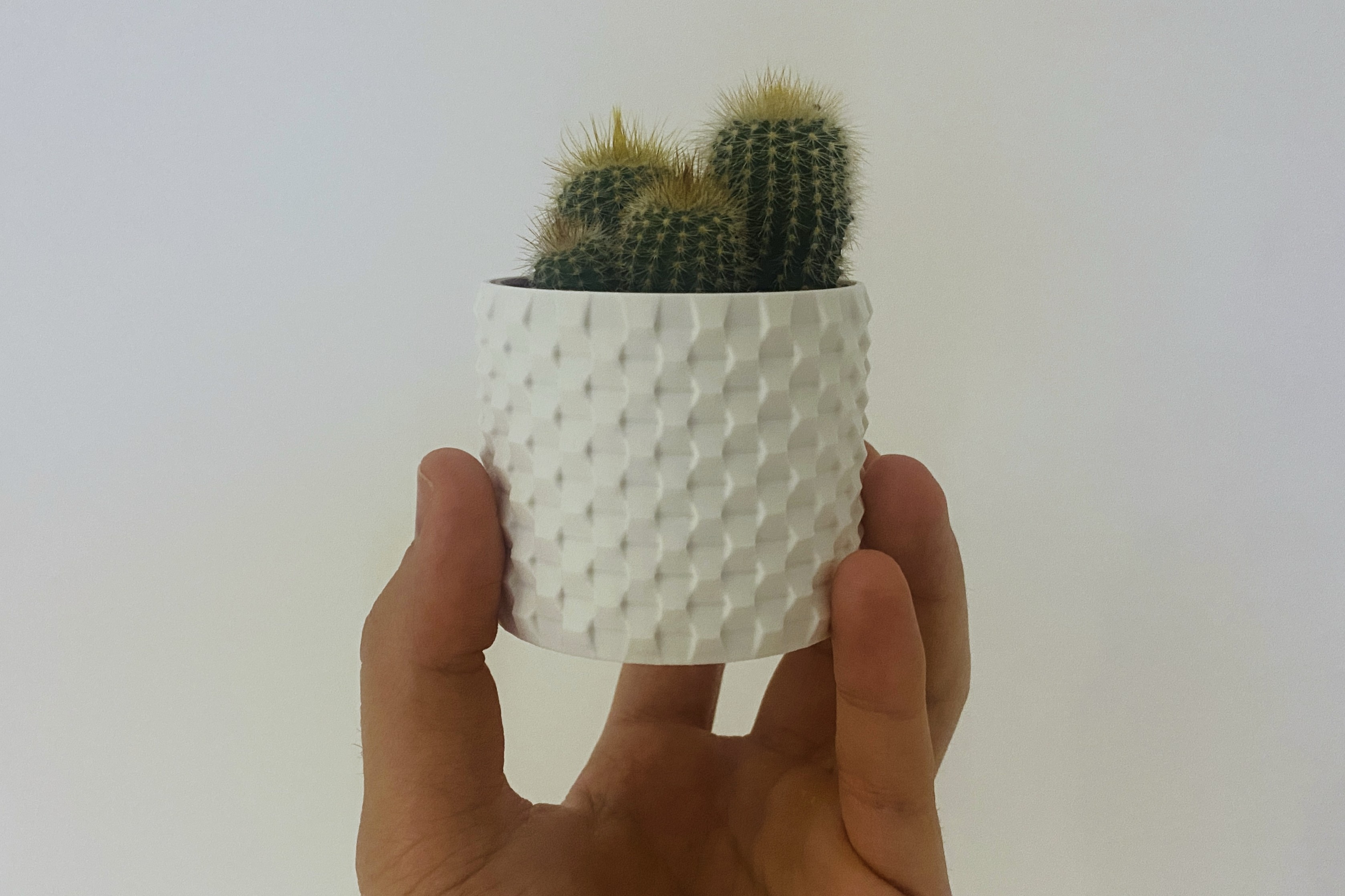 Diamond planter