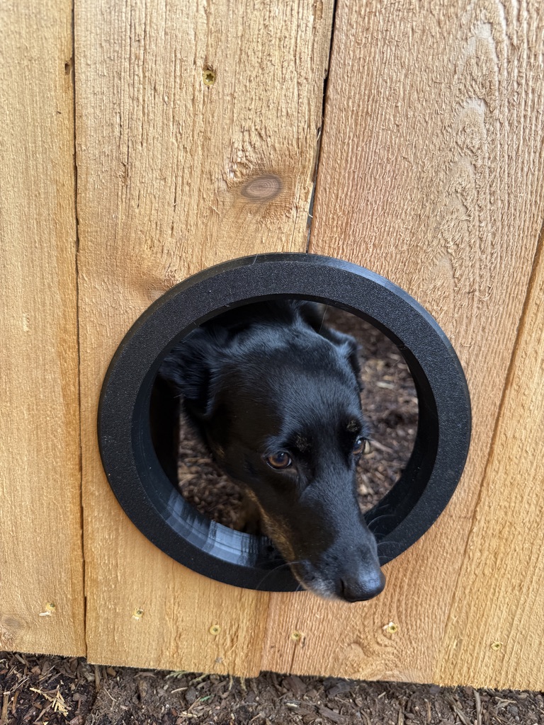 Picket fence cat door or dog window