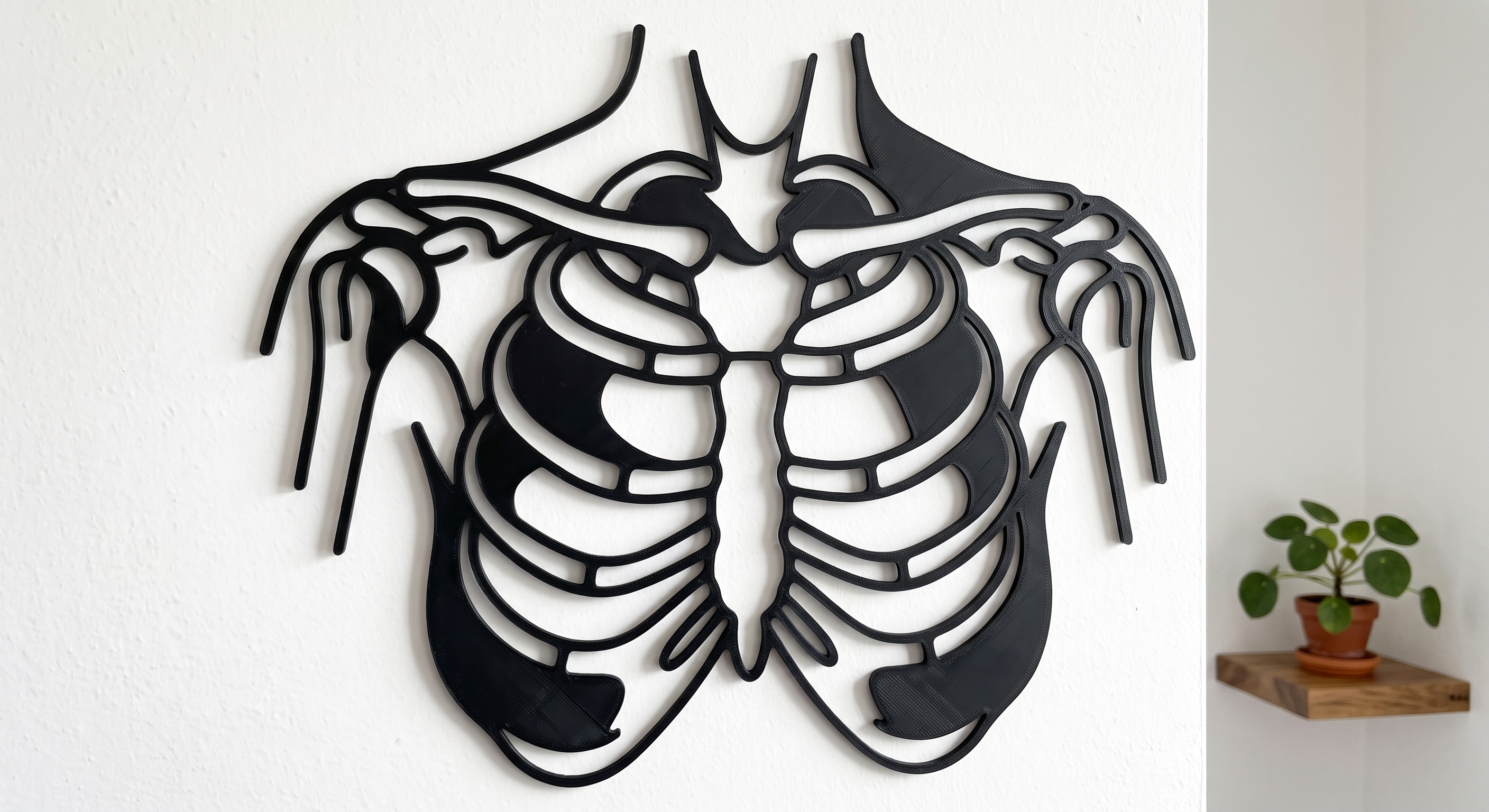 Rib Cage & Skeleton Torso – Anatomical Wall Art / Decor