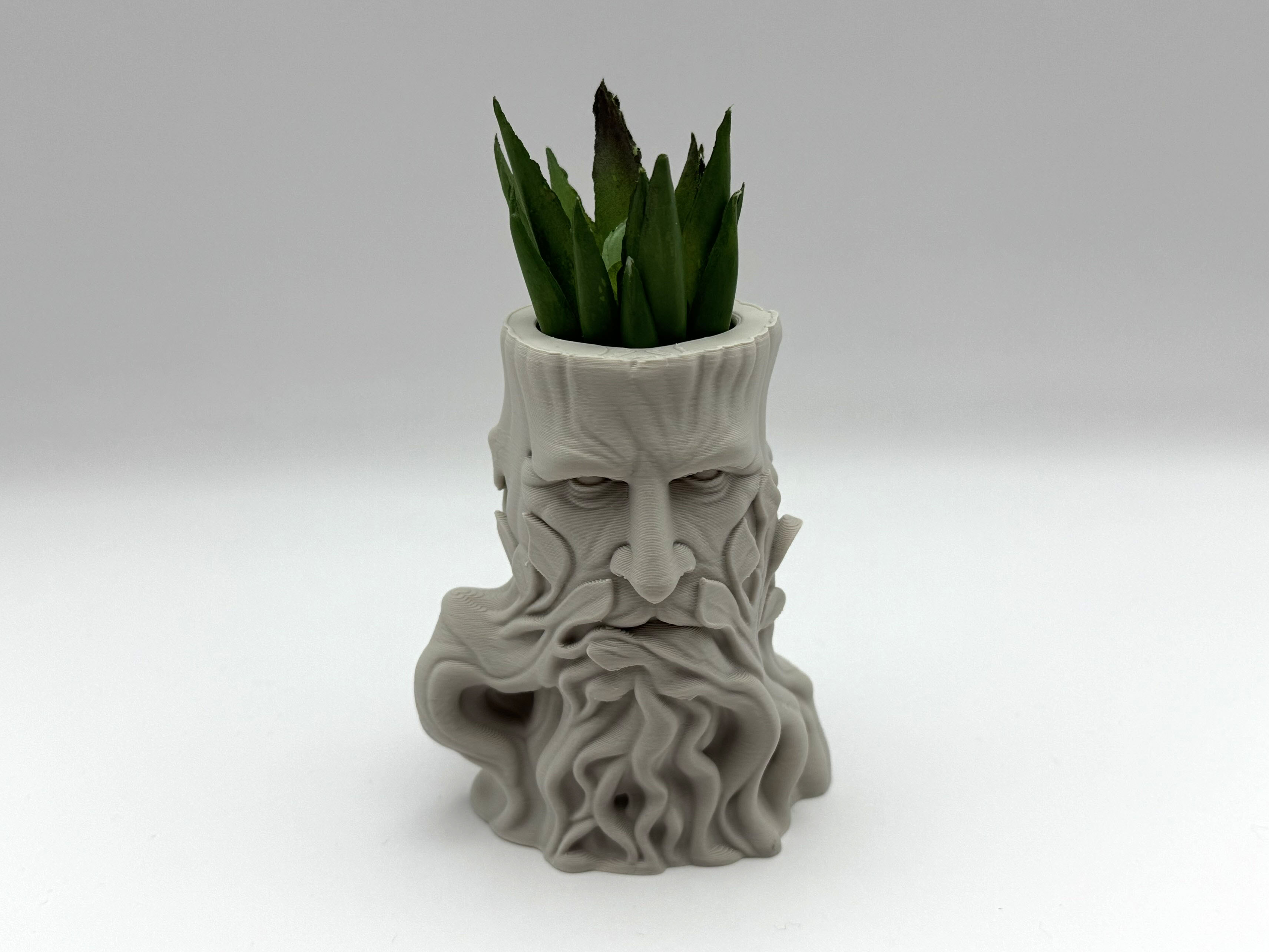 Treestub Planter