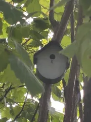 Bird house