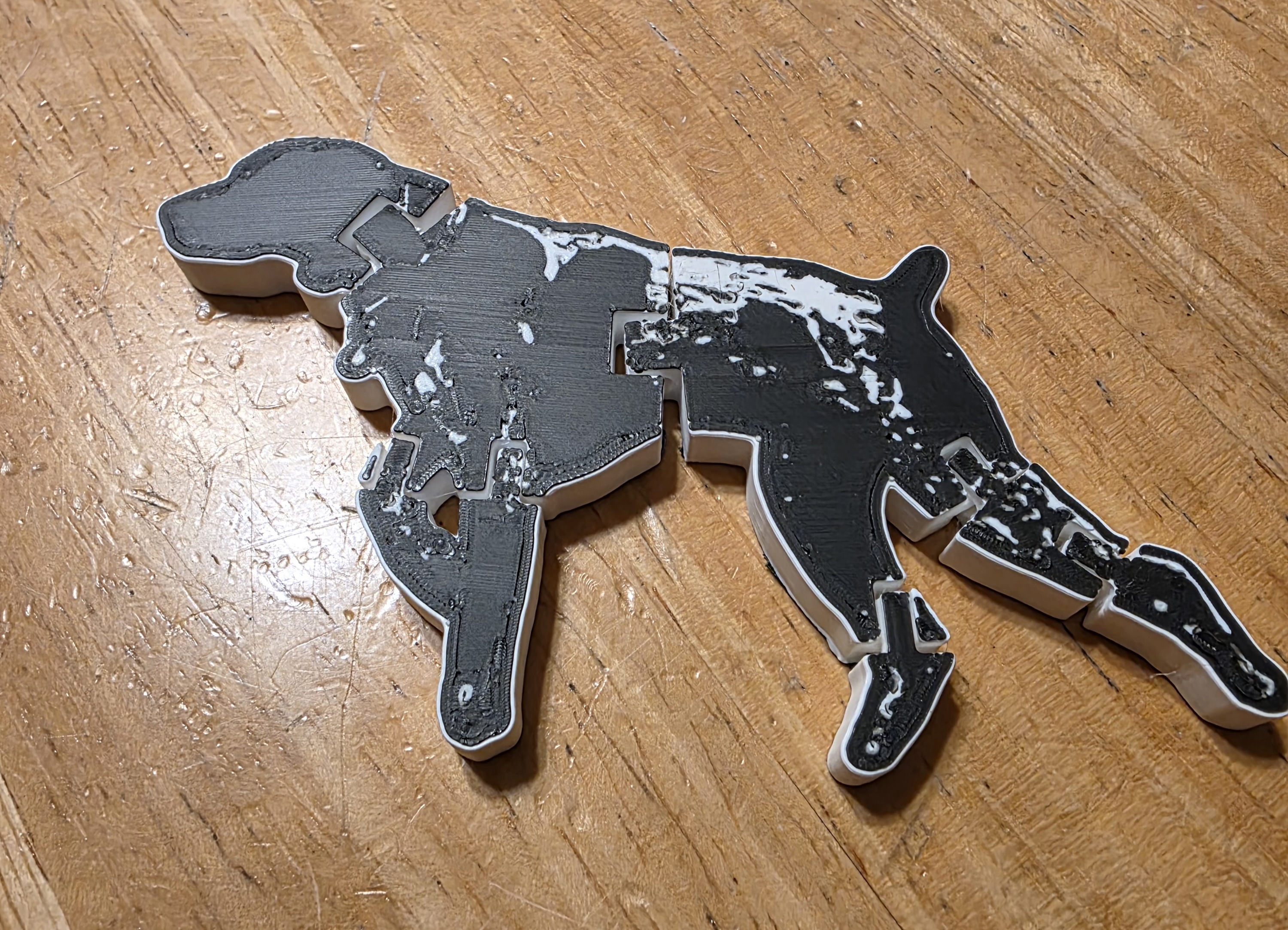 German Shorthaired Pointer Flexi — miniatura 2