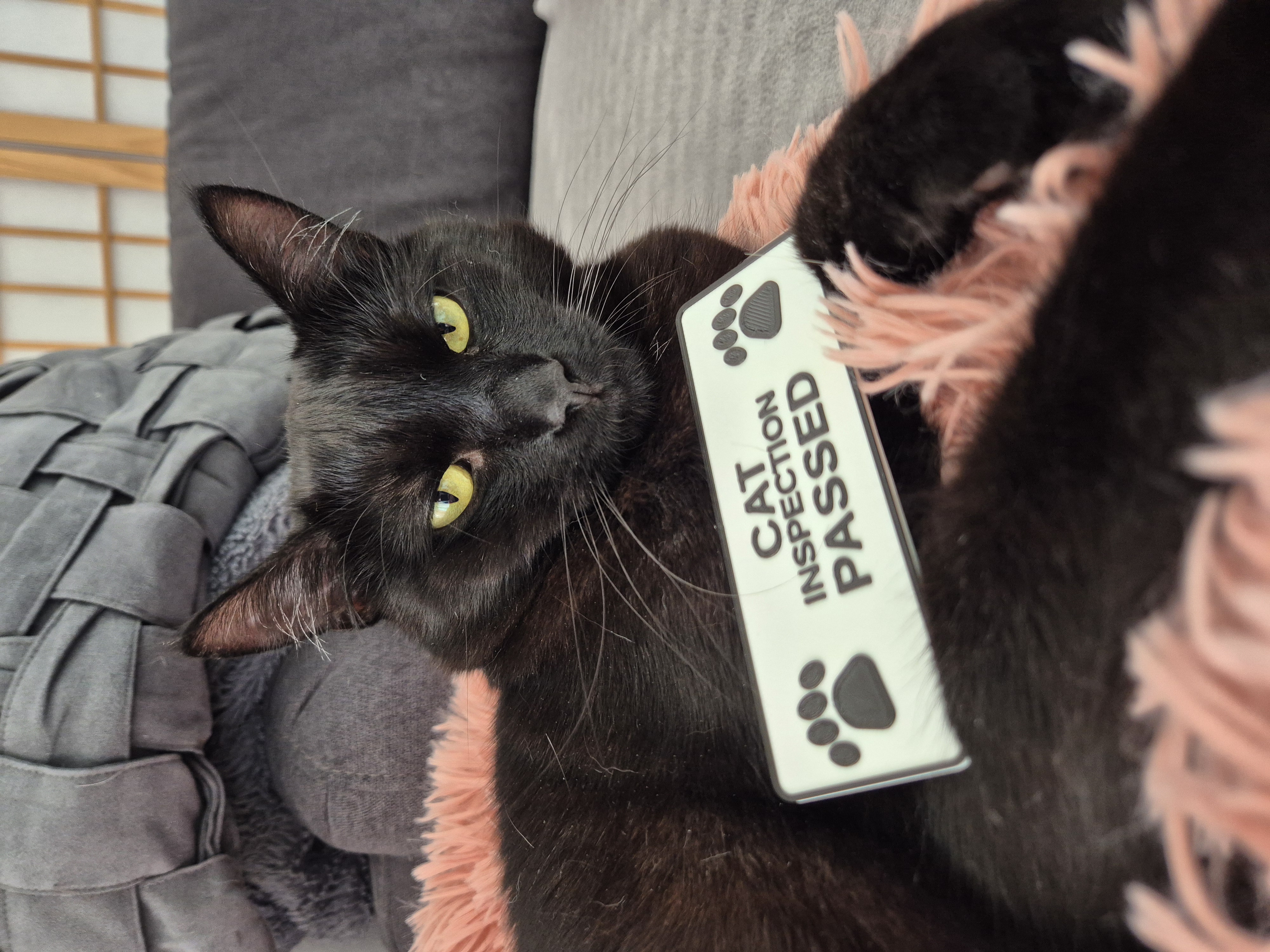 Cat Inspection Passed – Two Color Sign