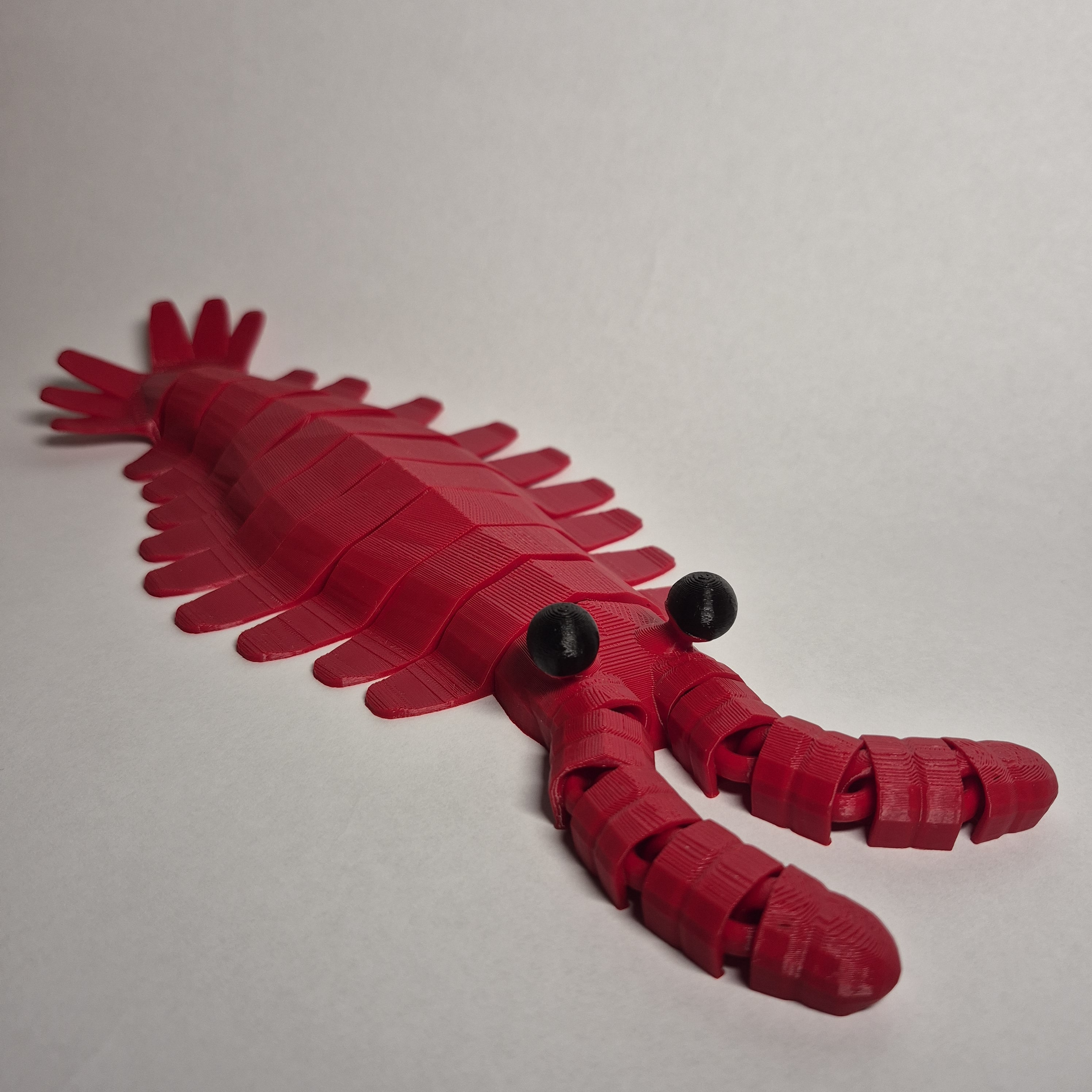 Print in place Anomalocaris