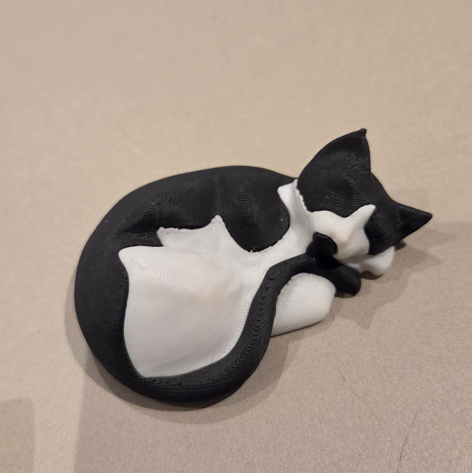 Single Extruder - Dual Color - Sleepy Cat
