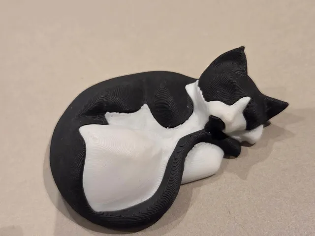 Single Extruder - Dual Color - Sleepy Cat