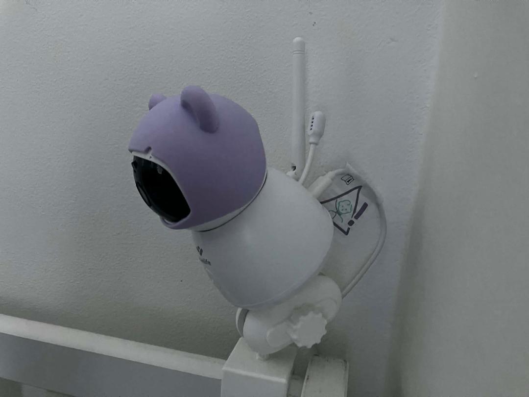 Truelife nannycam R6 holder