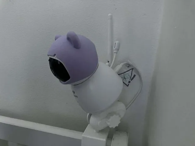 Truelife nannycam R6 holder