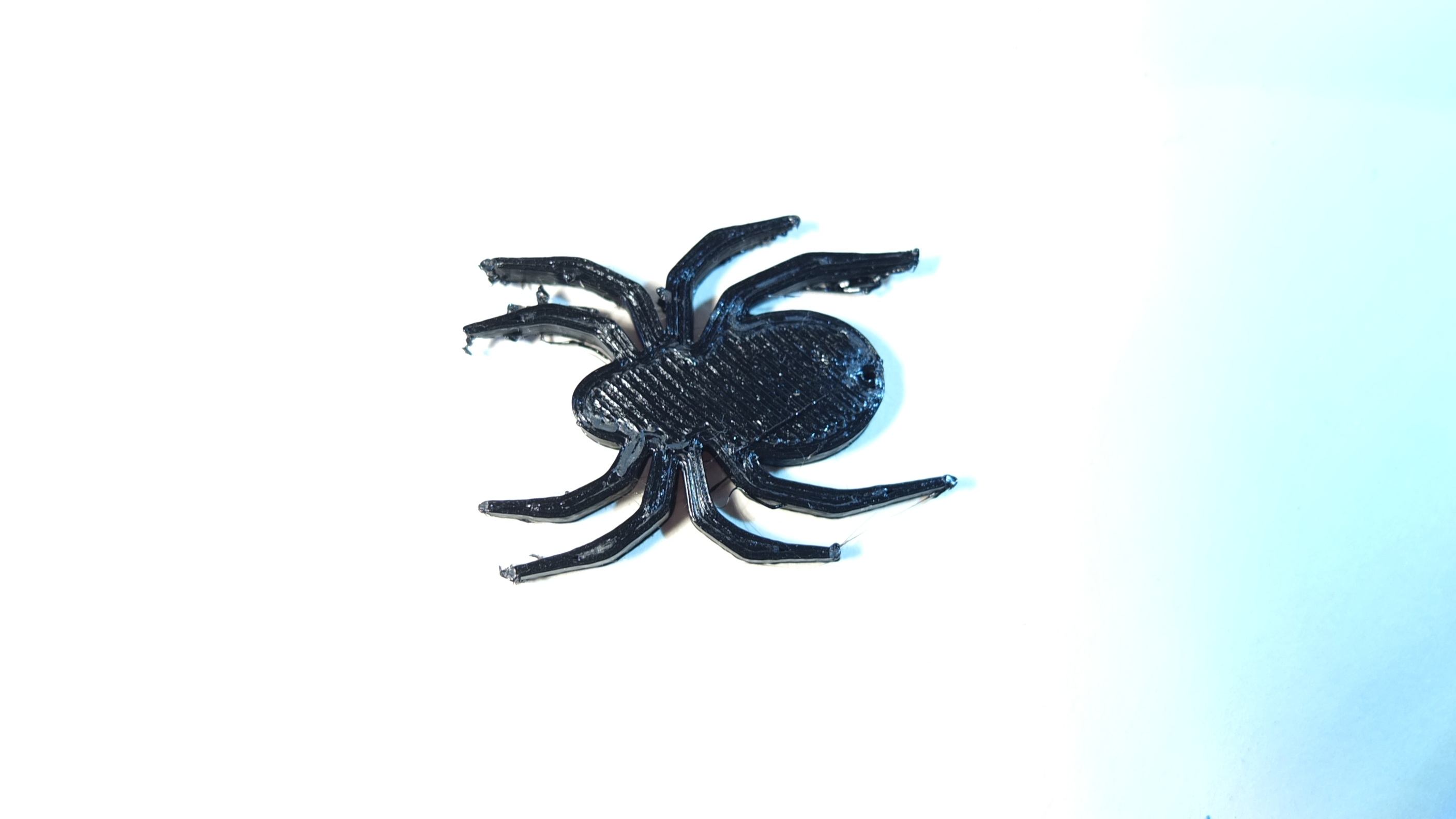 Spider prank