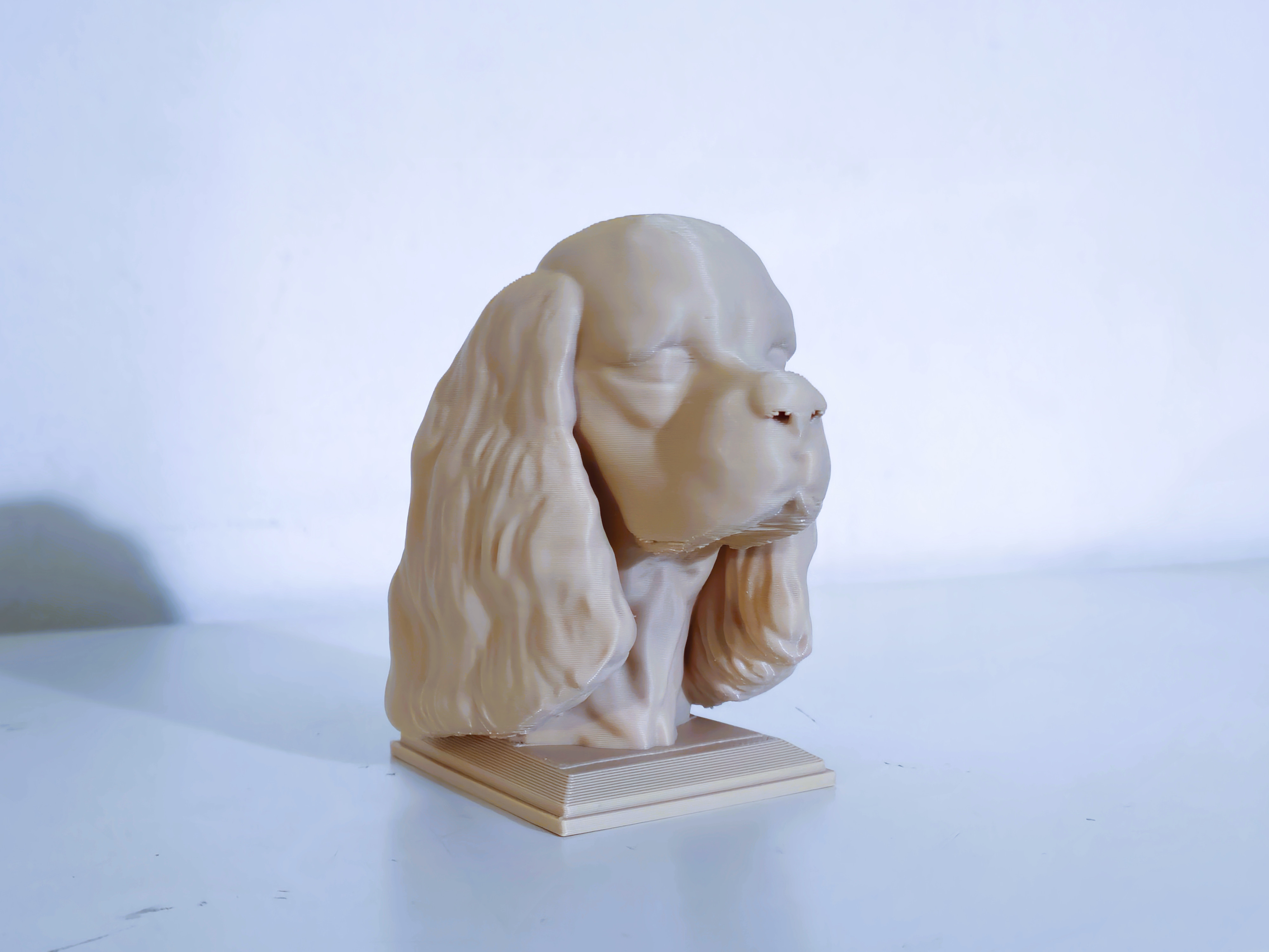 Cocker spaniel - dog head sculpture