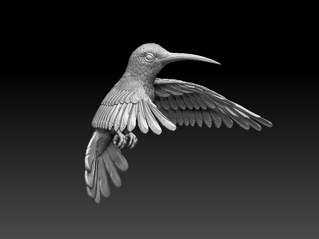 hummingbird