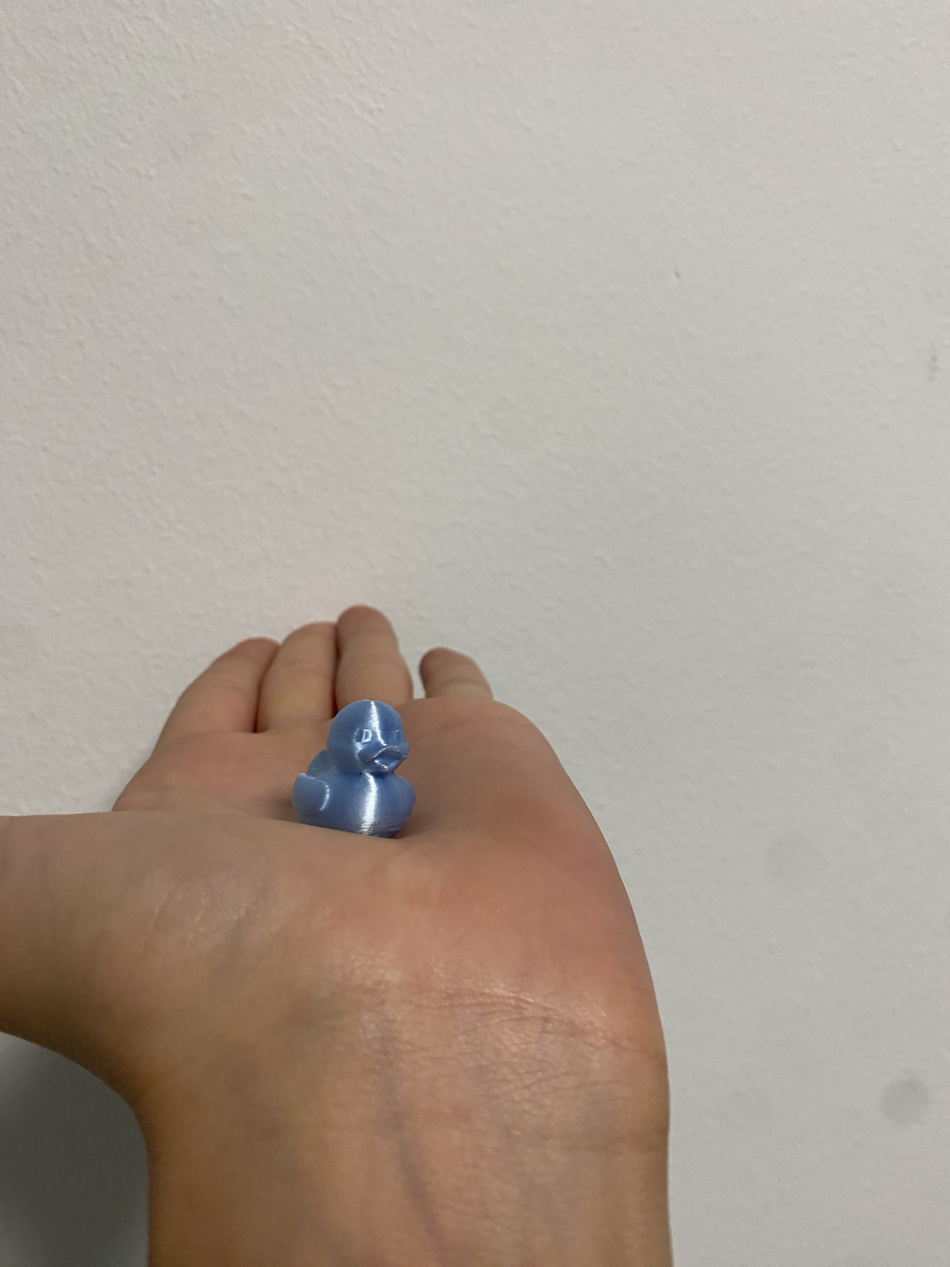 Miniatura 2 do modelo 3D mini Duck