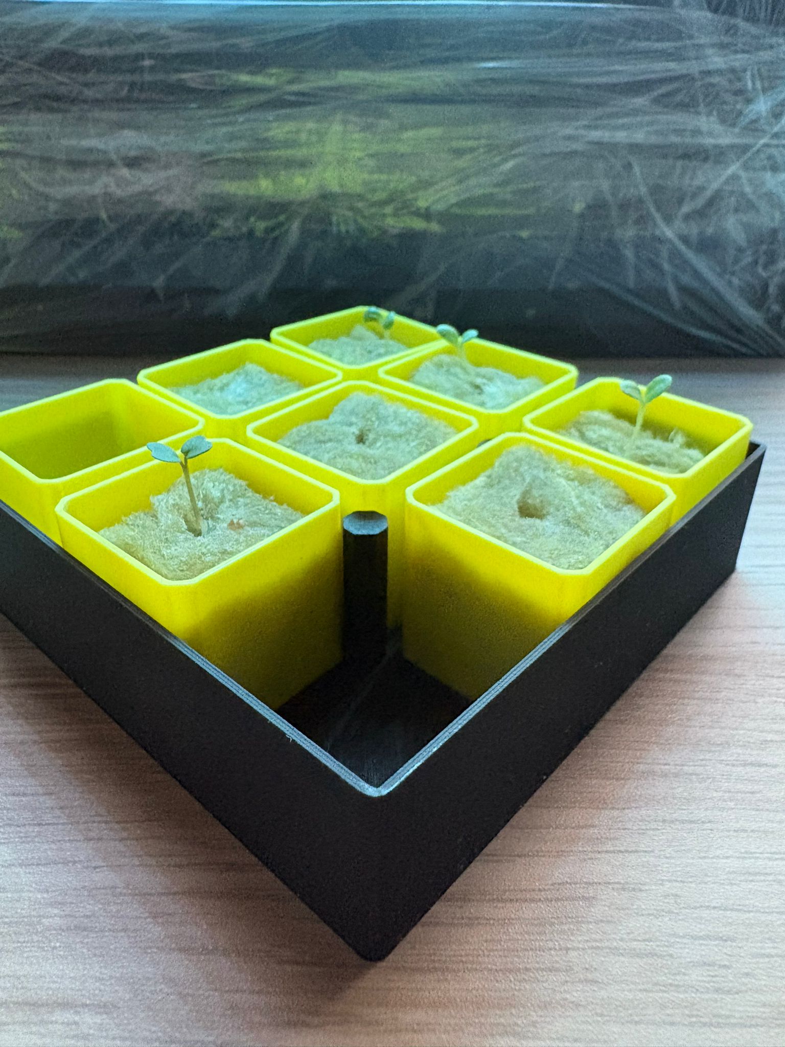 Miniatura 4 do modelo 3D Mini Seedling Starter – Fully Customizable